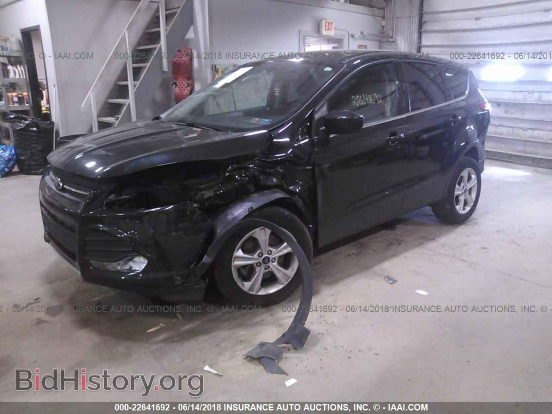 2013 Ford Escape - VIN: 1FMCU9GX8DUD94009 - Фото 2