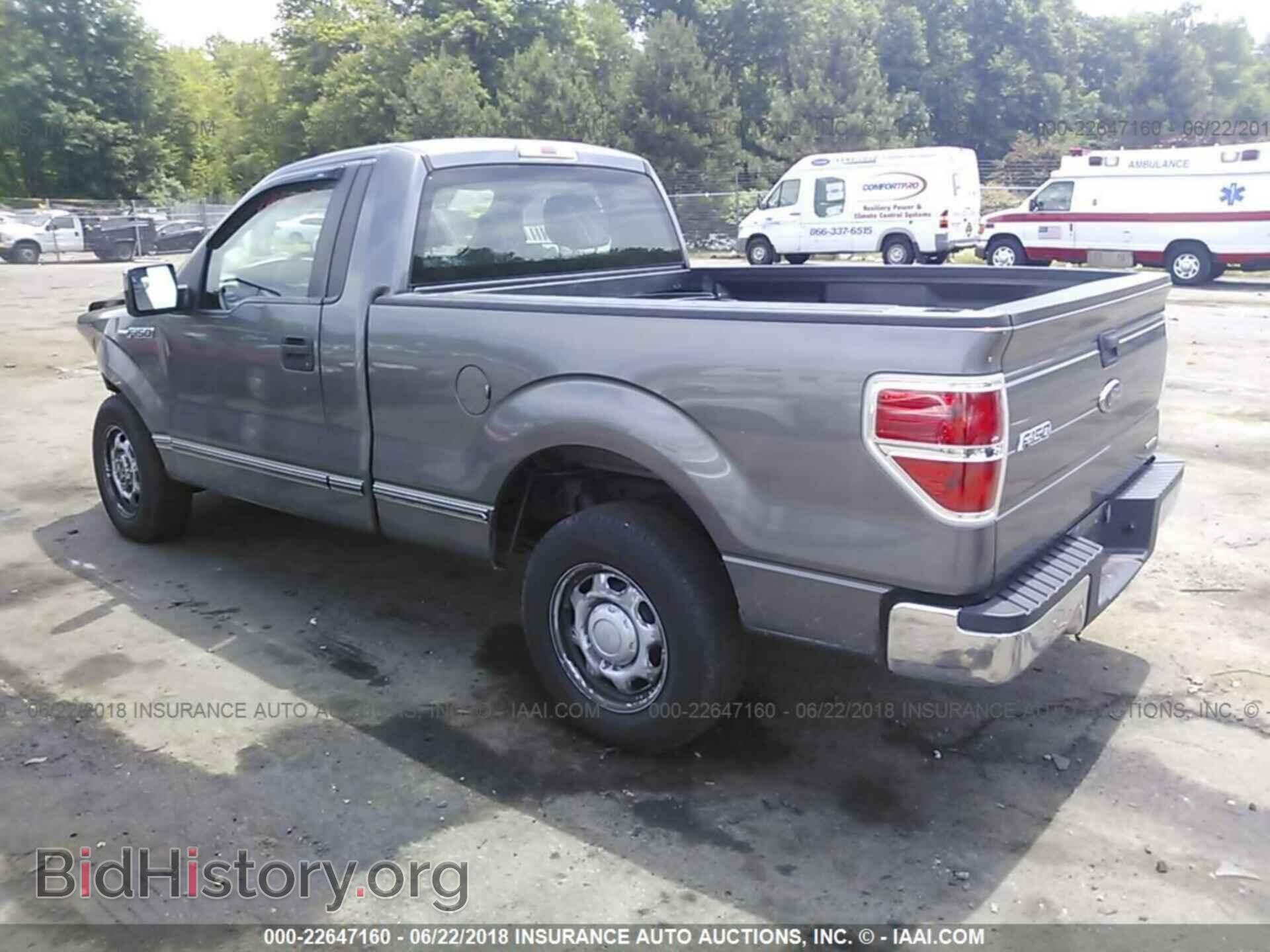 2011 Ford F150 - VIN: 1FTMF1CM8BFA45269 - Фото 3
