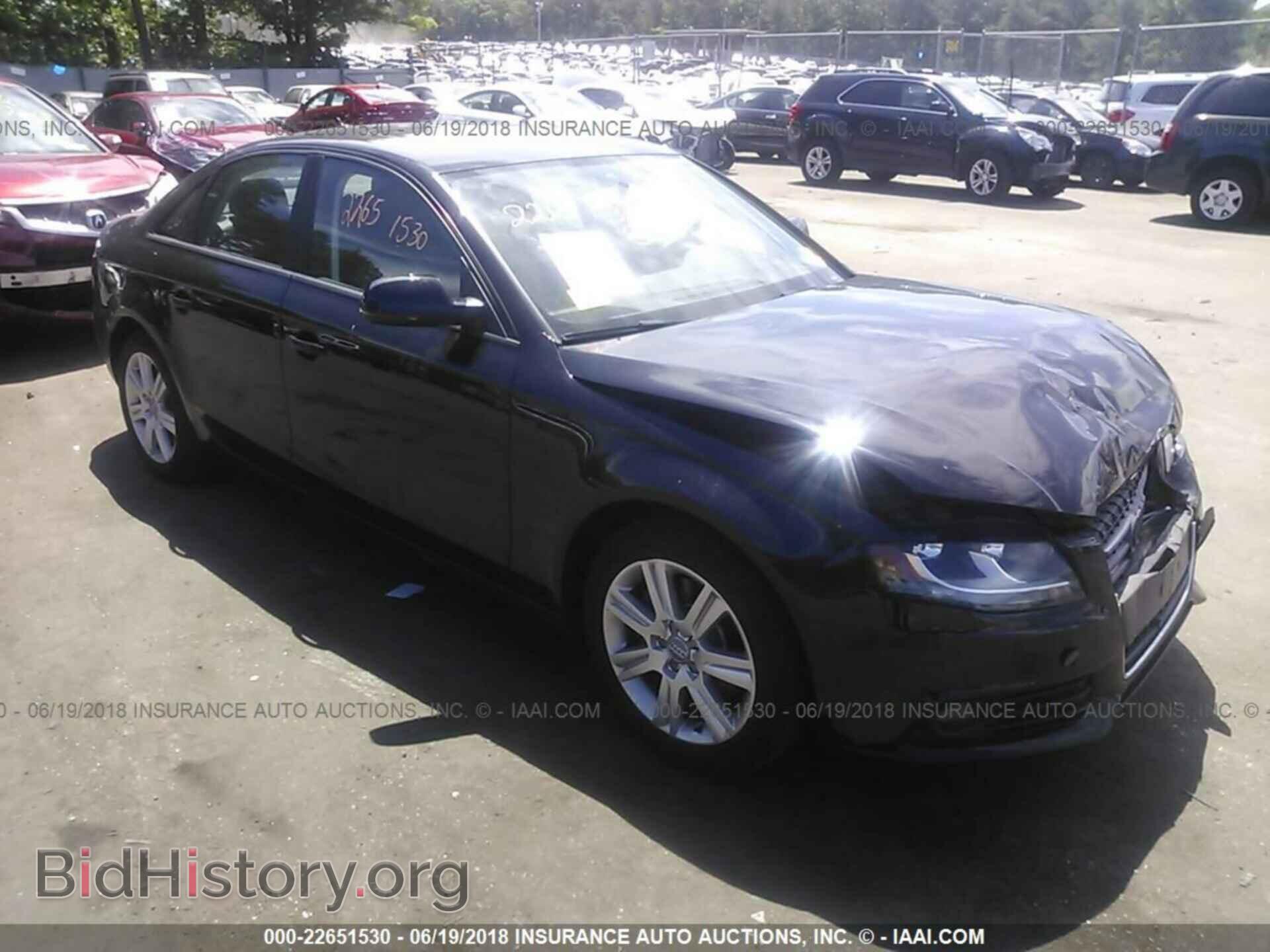 Photo WAUBFAFL9BN030308 - Audi A4 2011