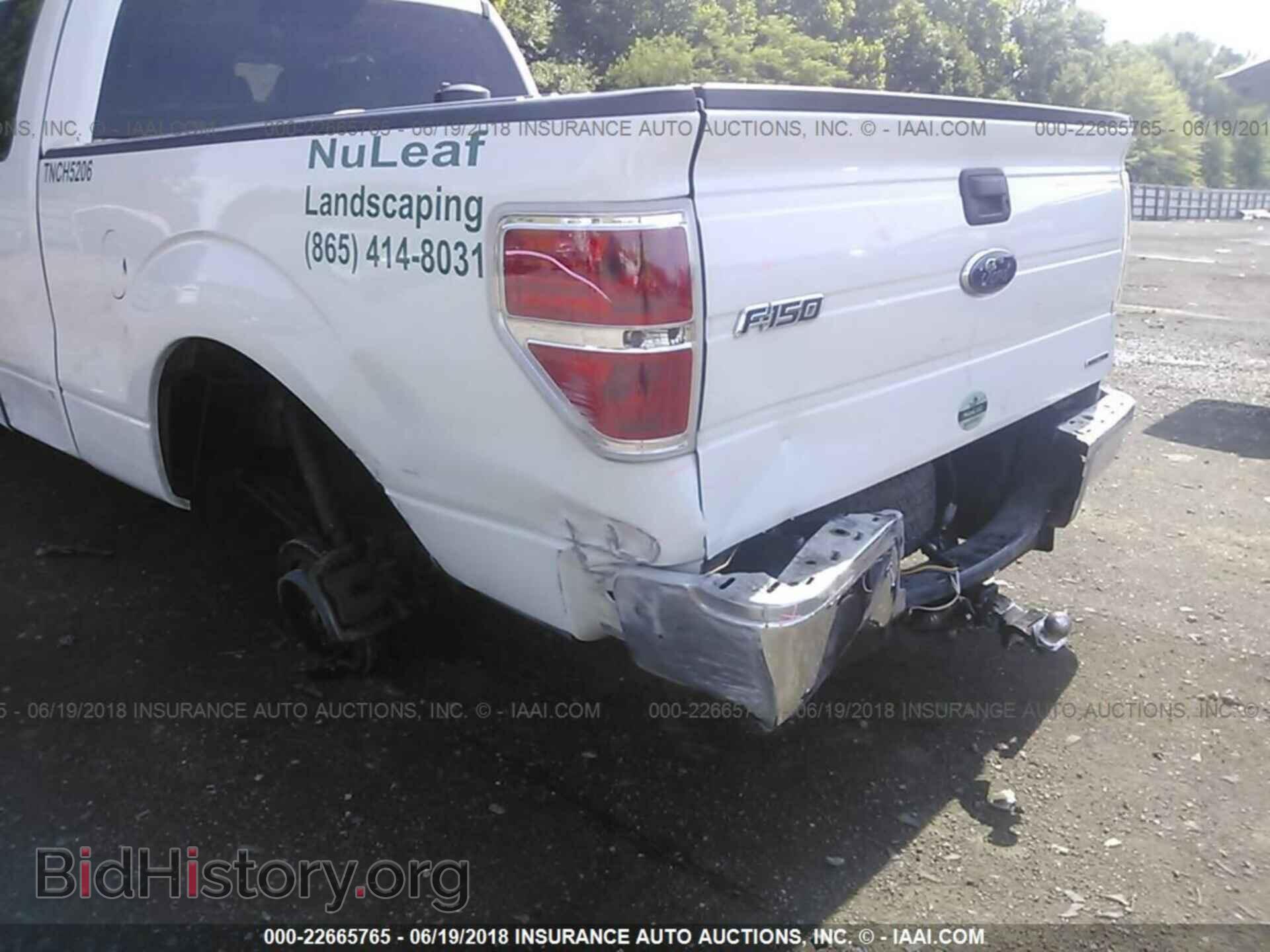 2013 Ford F150 - VIN: 1FTFX1CF9DKF99003 - Photo 6