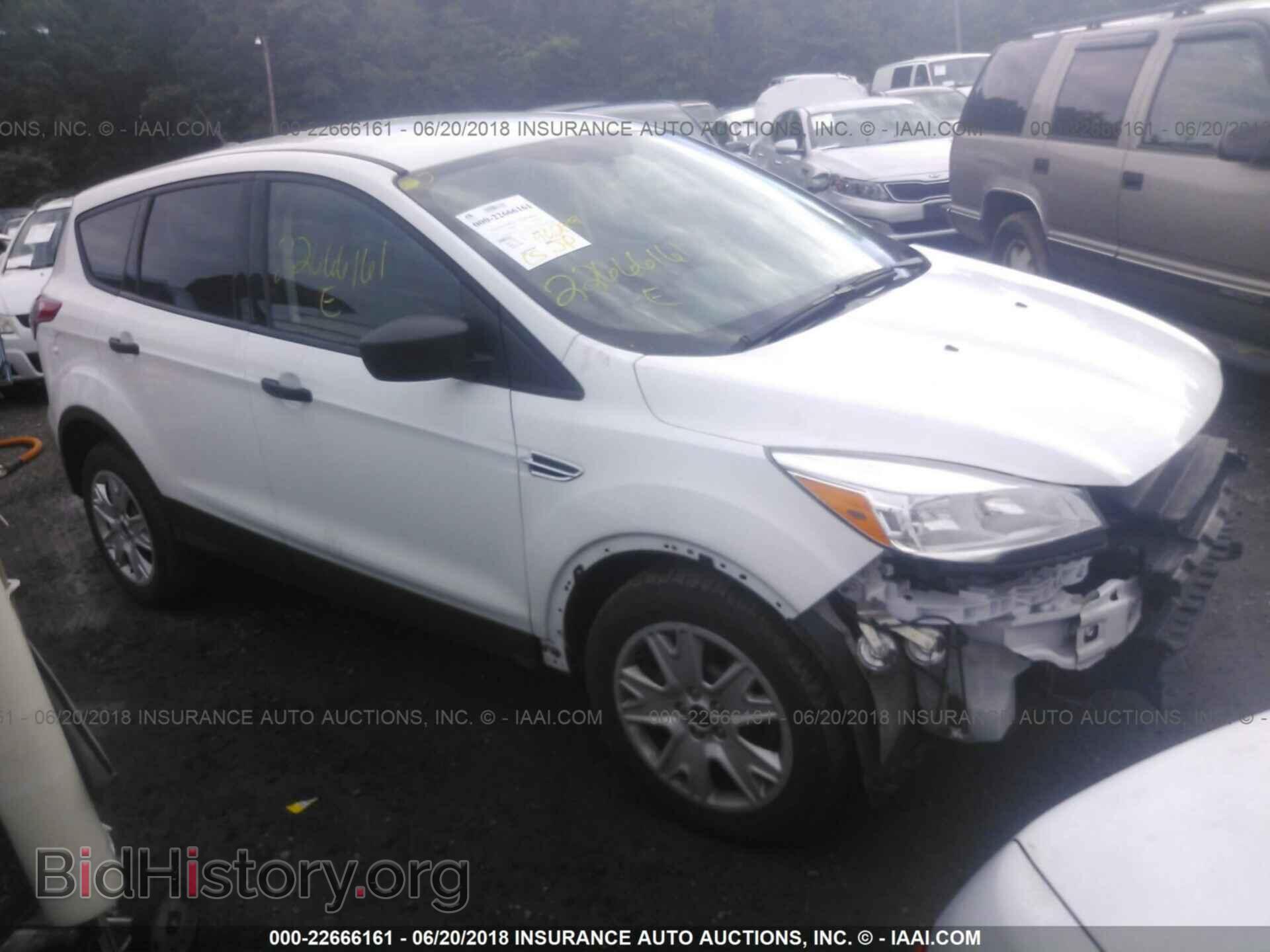 Photo 1FMCU0F79EUC10422 - Ford Escape 2014