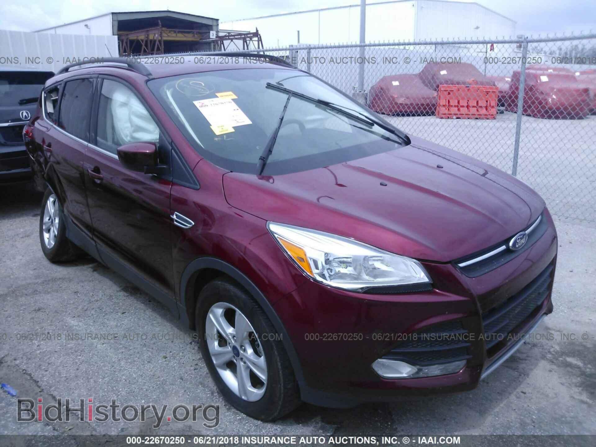 Фотография 1FMCU0GX9EUE39360 - Ford Escape 2014