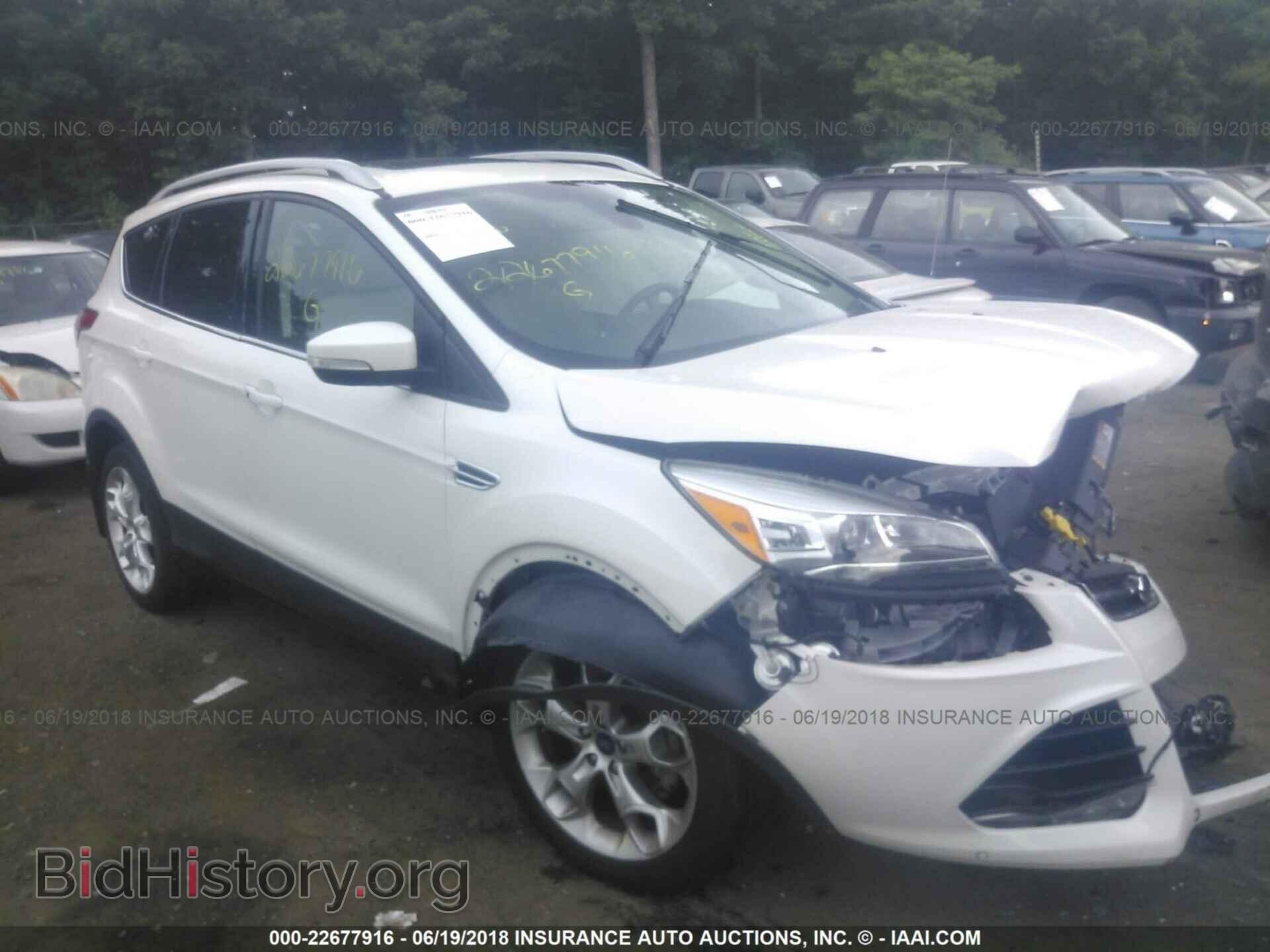 Photo 1FMCU9J92EUB12975 - Ford Escape 2014