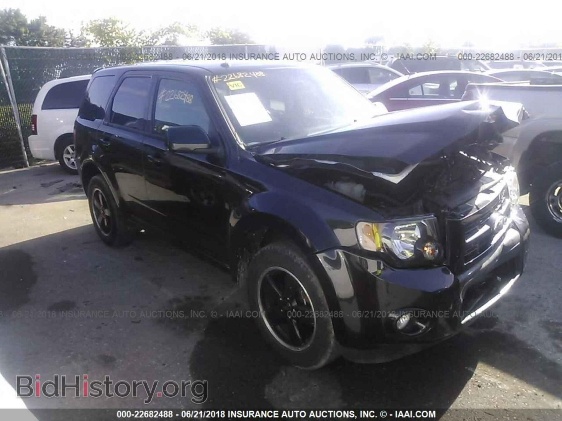 Фотография 1FMCU0DG9BKB05048 - Ford Escape 2011