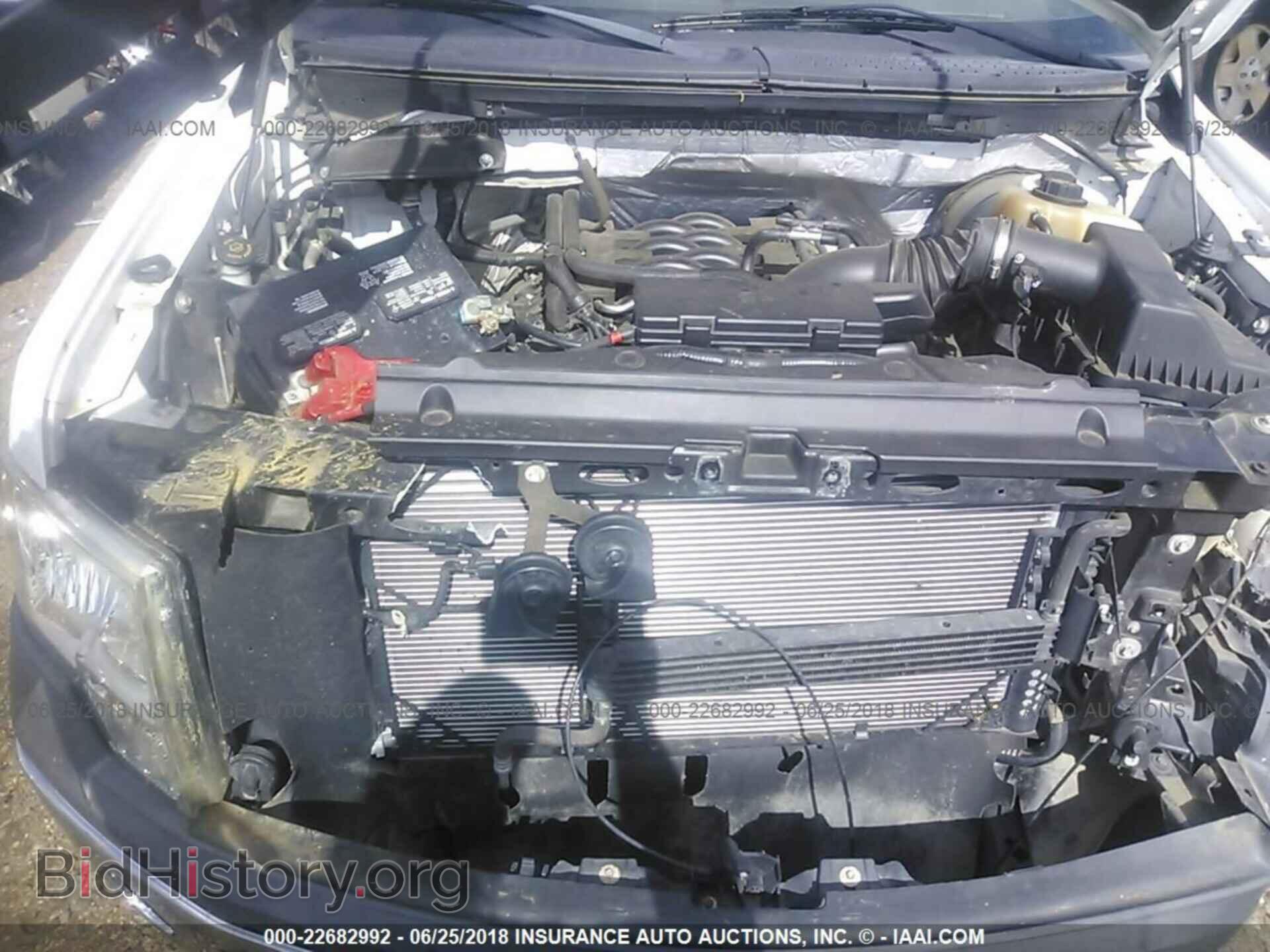 2011 Ford F150 - VIN: 1FTFX1CF2BFC28285 - Photo 10