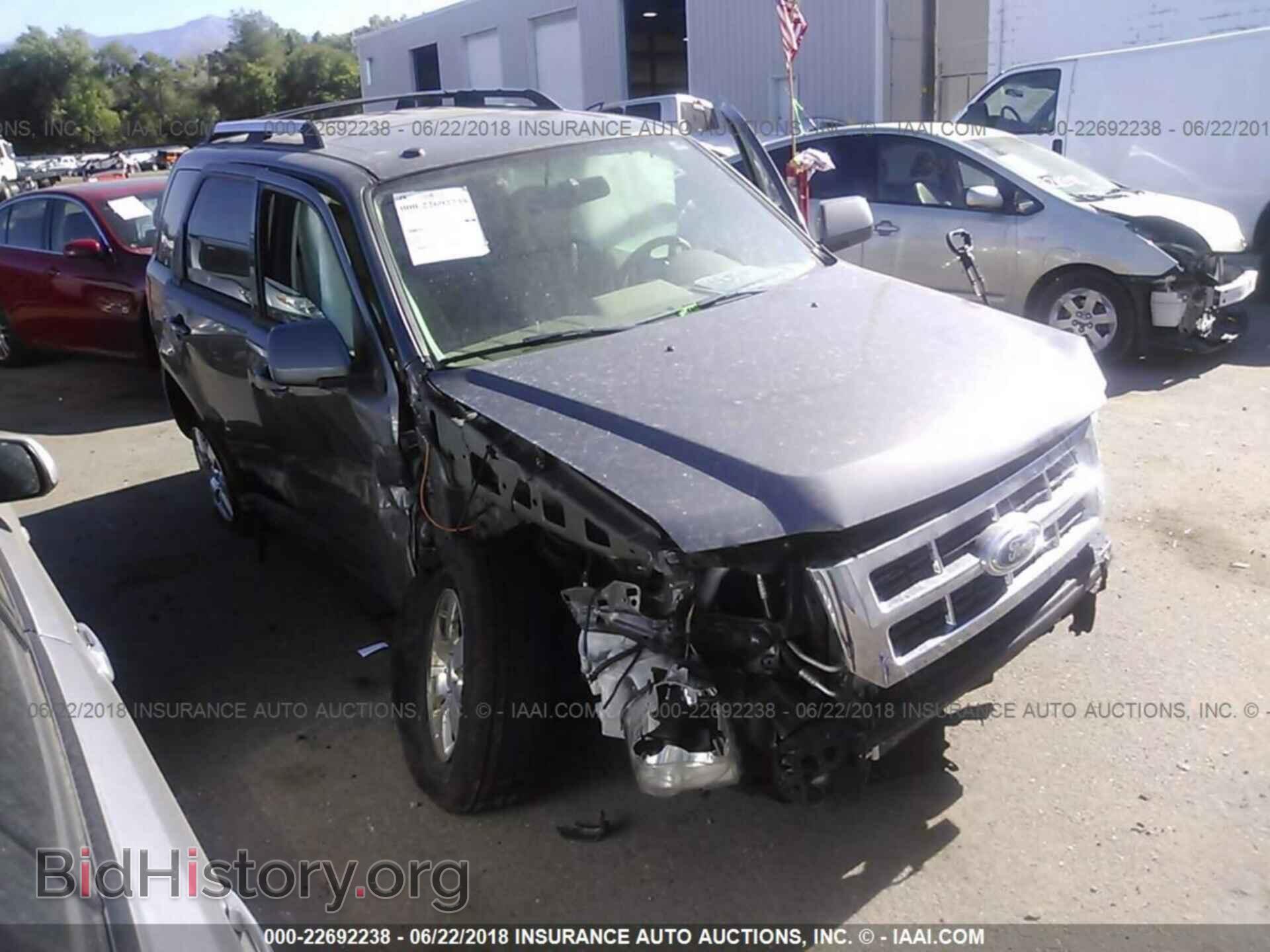 Photo 1FMCU9EG8BKB59508 - Ford Escape 2011