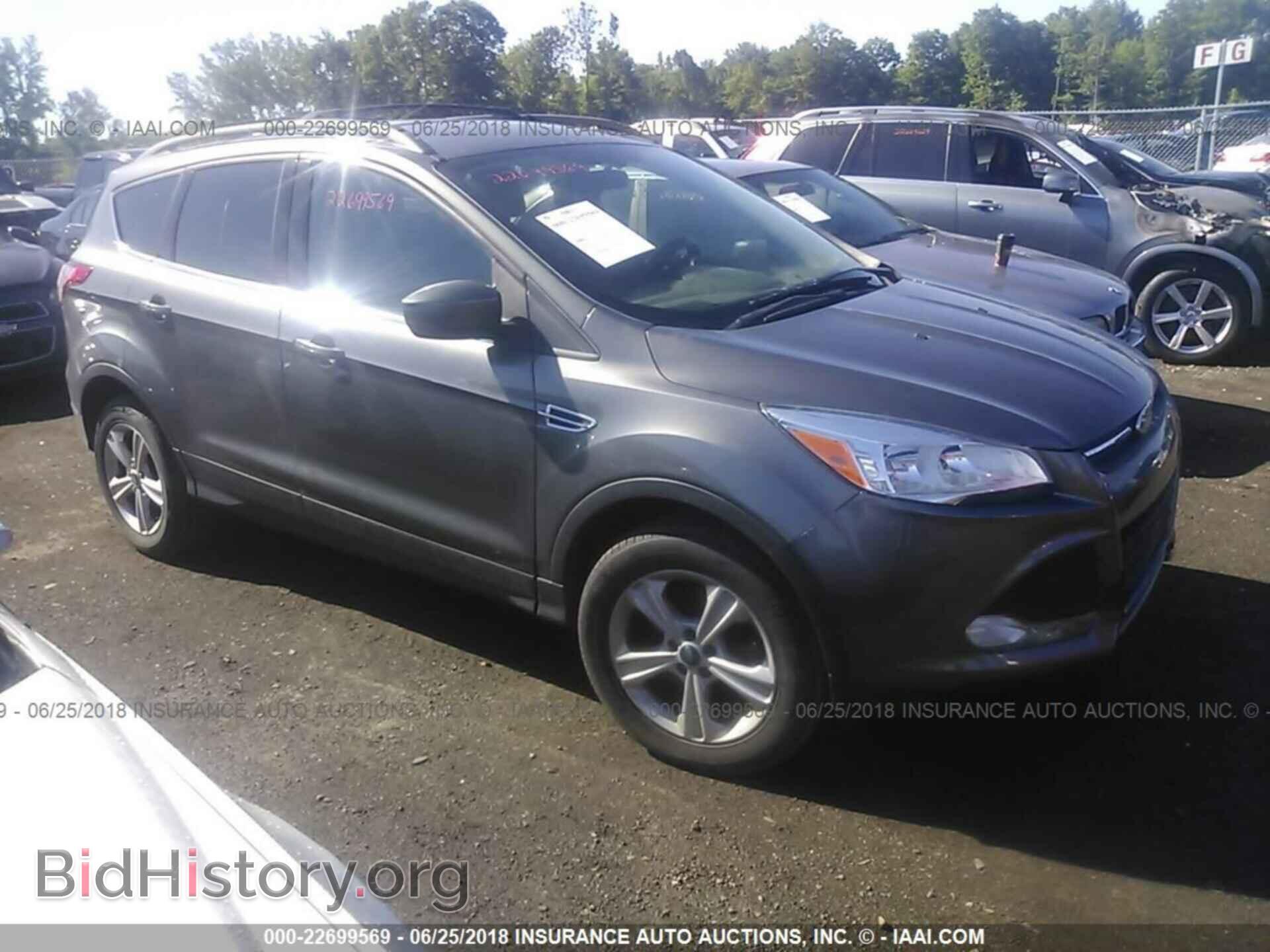 Photo 1FMCU9GX7DUB25709 - Ford Escape 2013