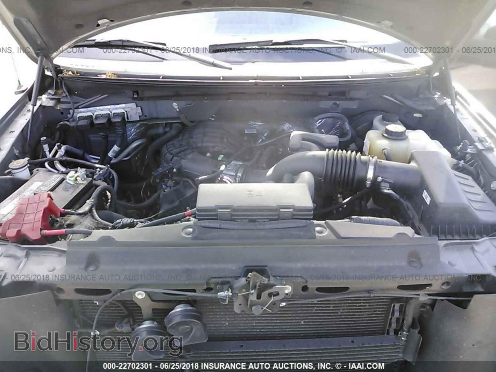 2013 FORD F150 - VIN: 1FTEW1CM6DFC61824 - Фото 10