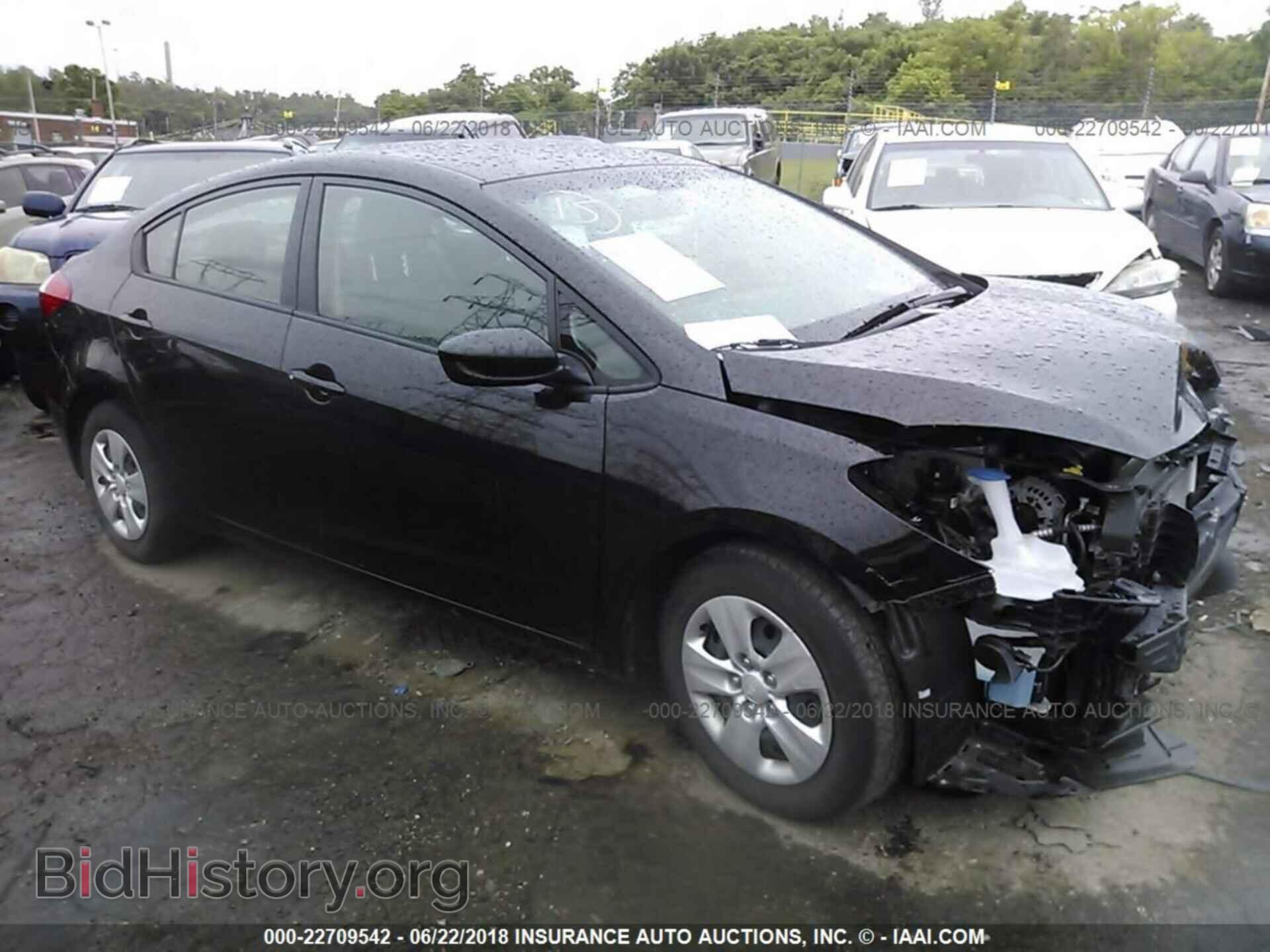 Photo KNAFK4A64F5263163 - Kia Forte 2015