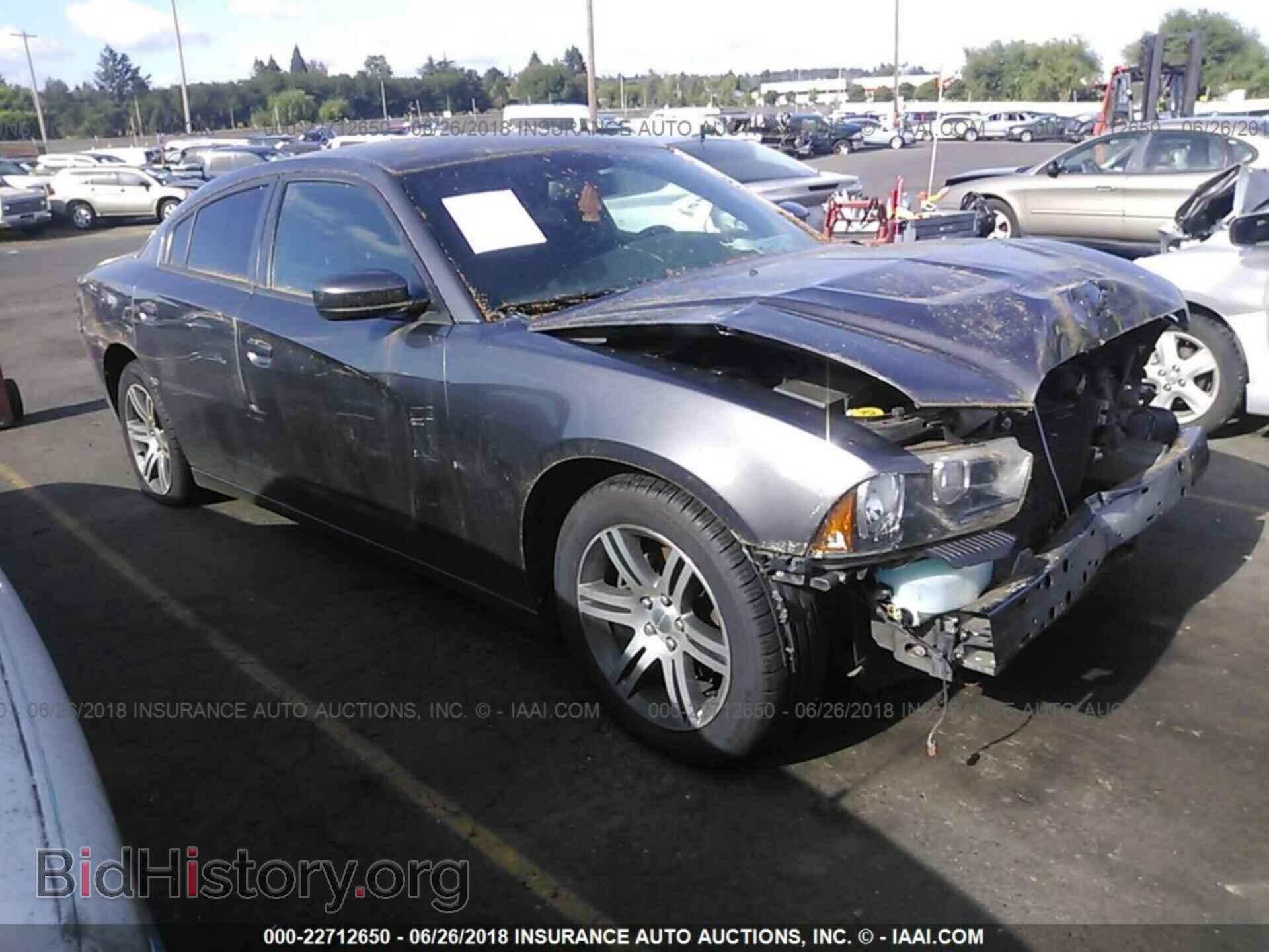 2014 Dodge CHARGER (VIN 2C3CDXHG0EH324987) — photo 1 of 10, IAAI, damage: front end