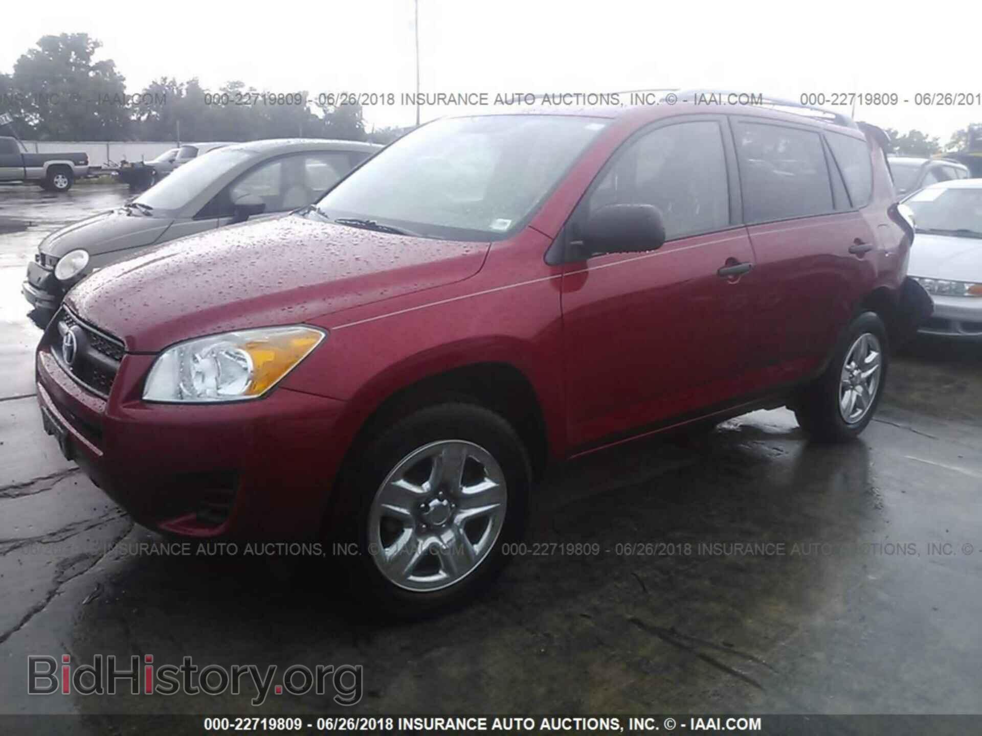 2011 Toyota Rav4 - VIN: 2T3BF4DV8BW126772 - Фото 2