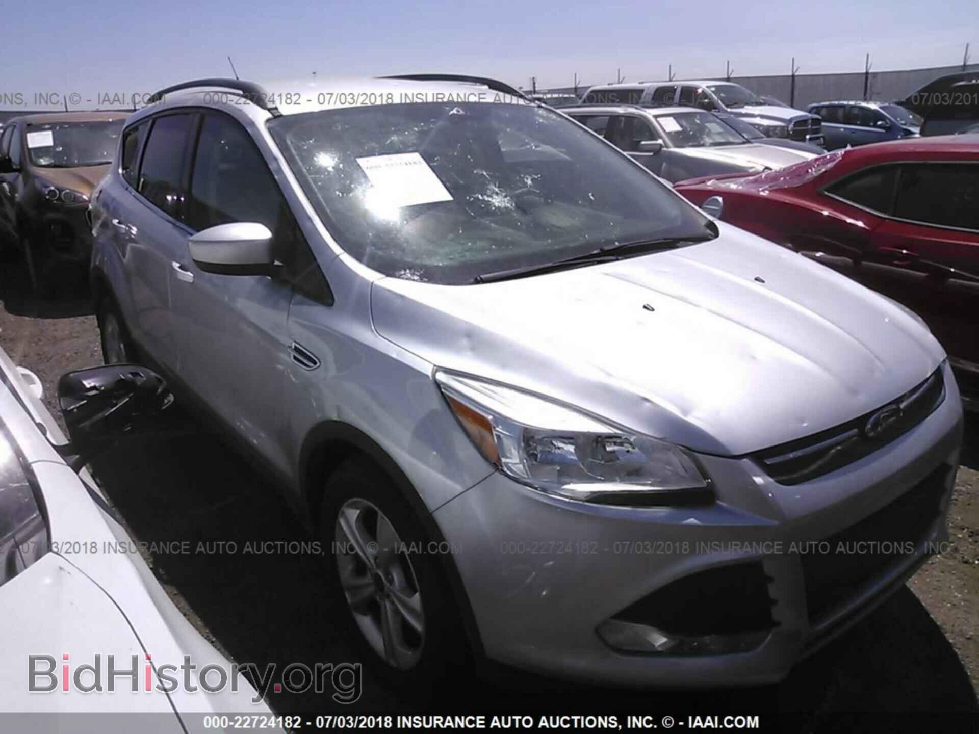 Photo 1FMCU0GX4EUB72838 - Ford Escape 2014
