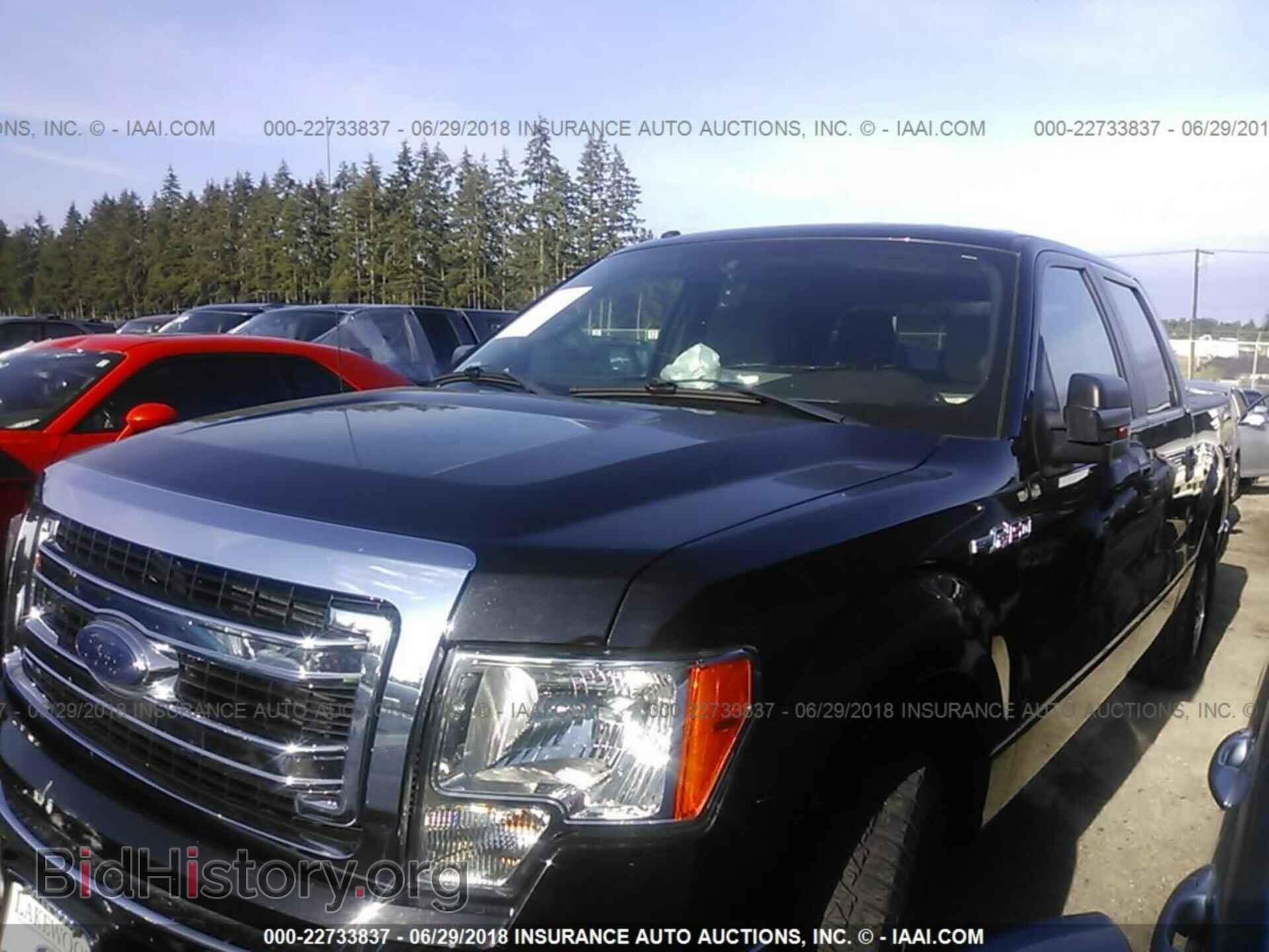 2013 Ford F150 - VIN: 1FTEW1CMXDFD84686 - Фото 2