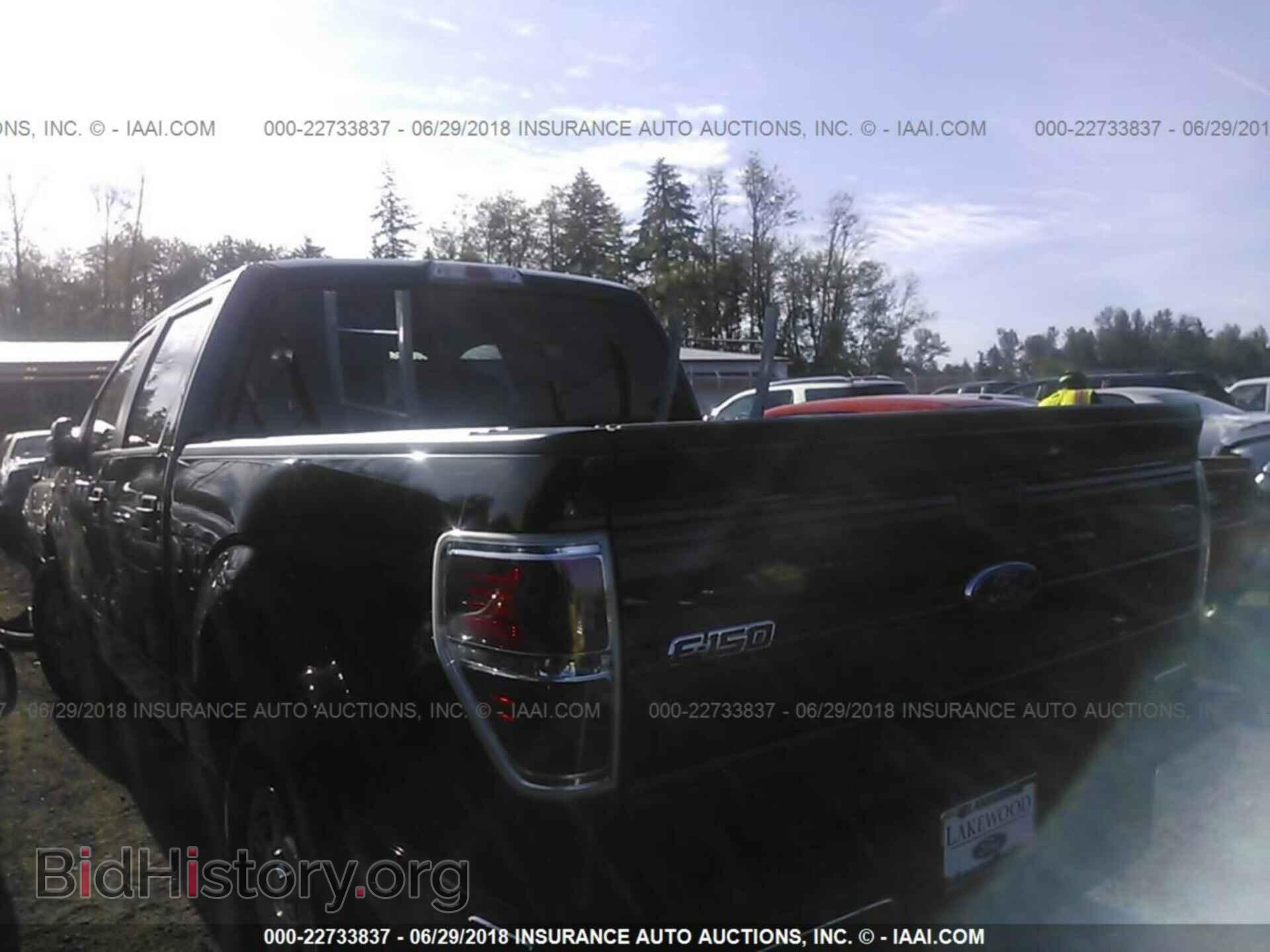2013 Ford F150 - VIN: 1FTEW1CMXDFD84686 - Фото 3
