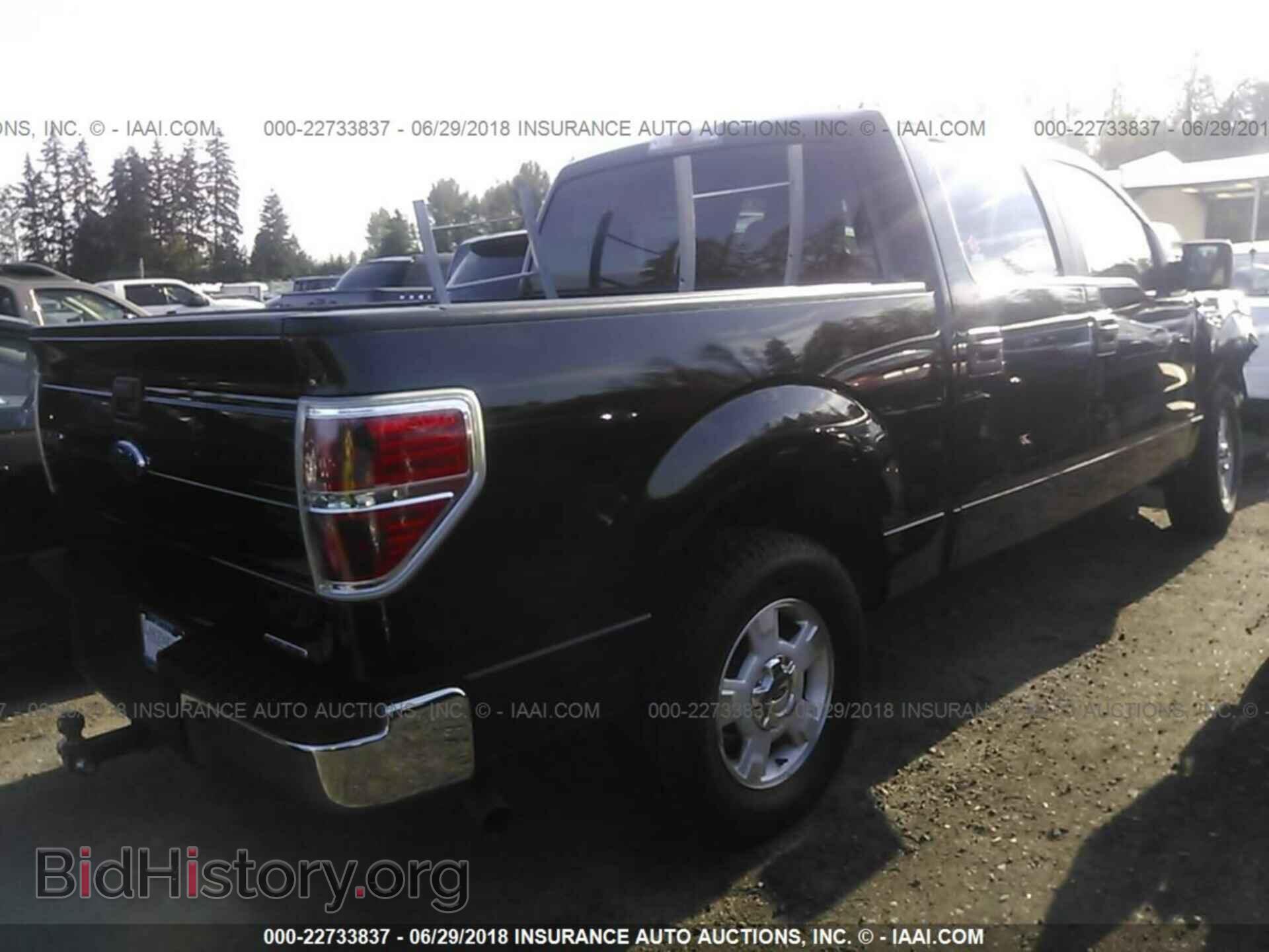 2013 Ford F150 - VIN: 1FTEW1CMXDFD84686 - Фото 4