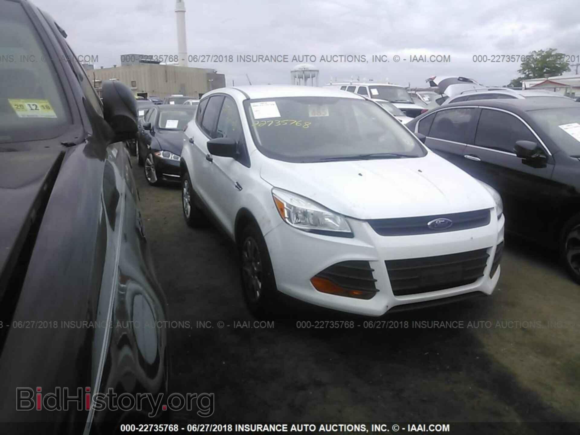 Photo 1FMCU0F72DUD79132 - Ford Escape 2013