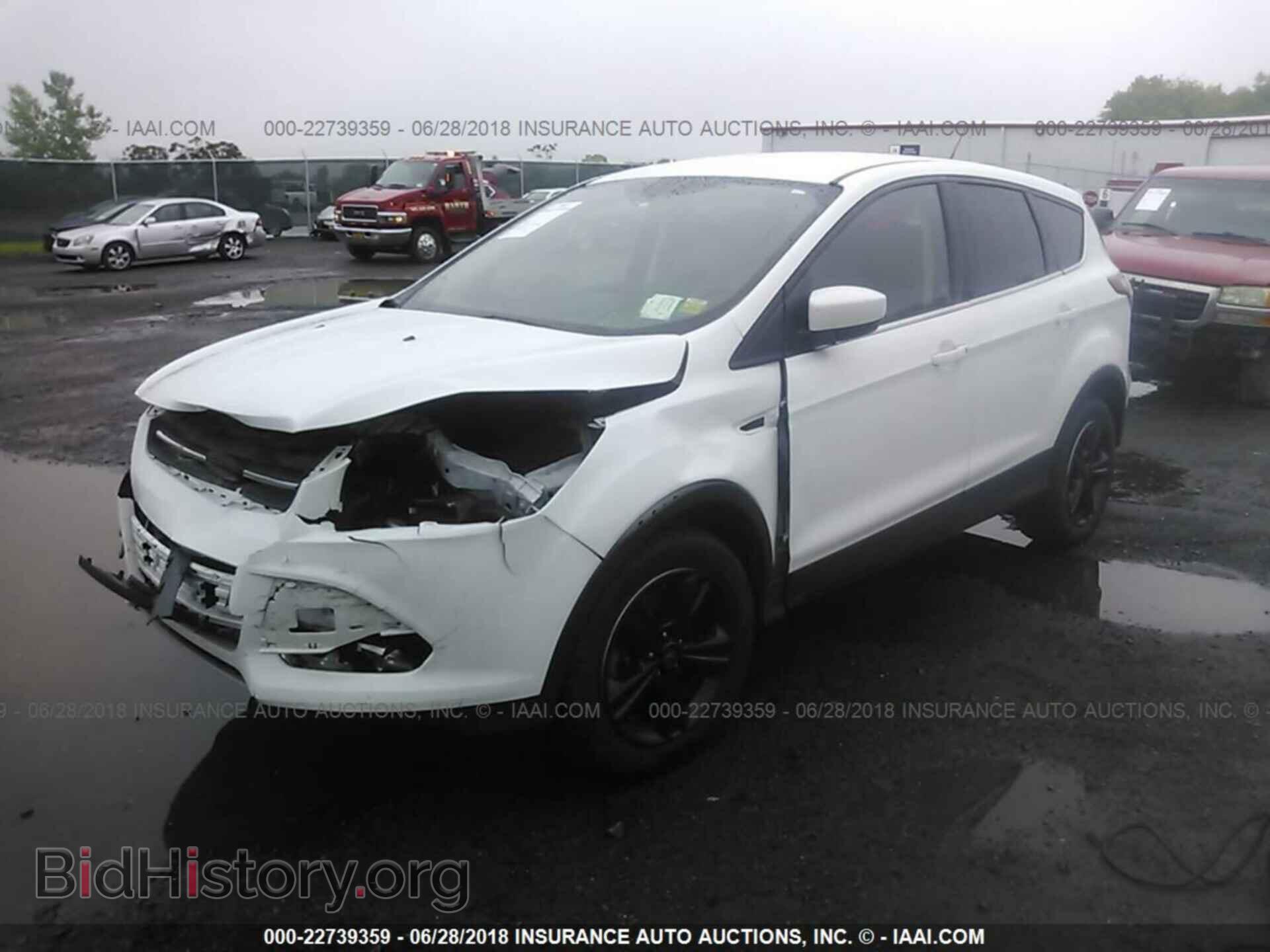 2013 Ford Escape - VIN: 1FMCU9G96DUD94186 - Фото 2