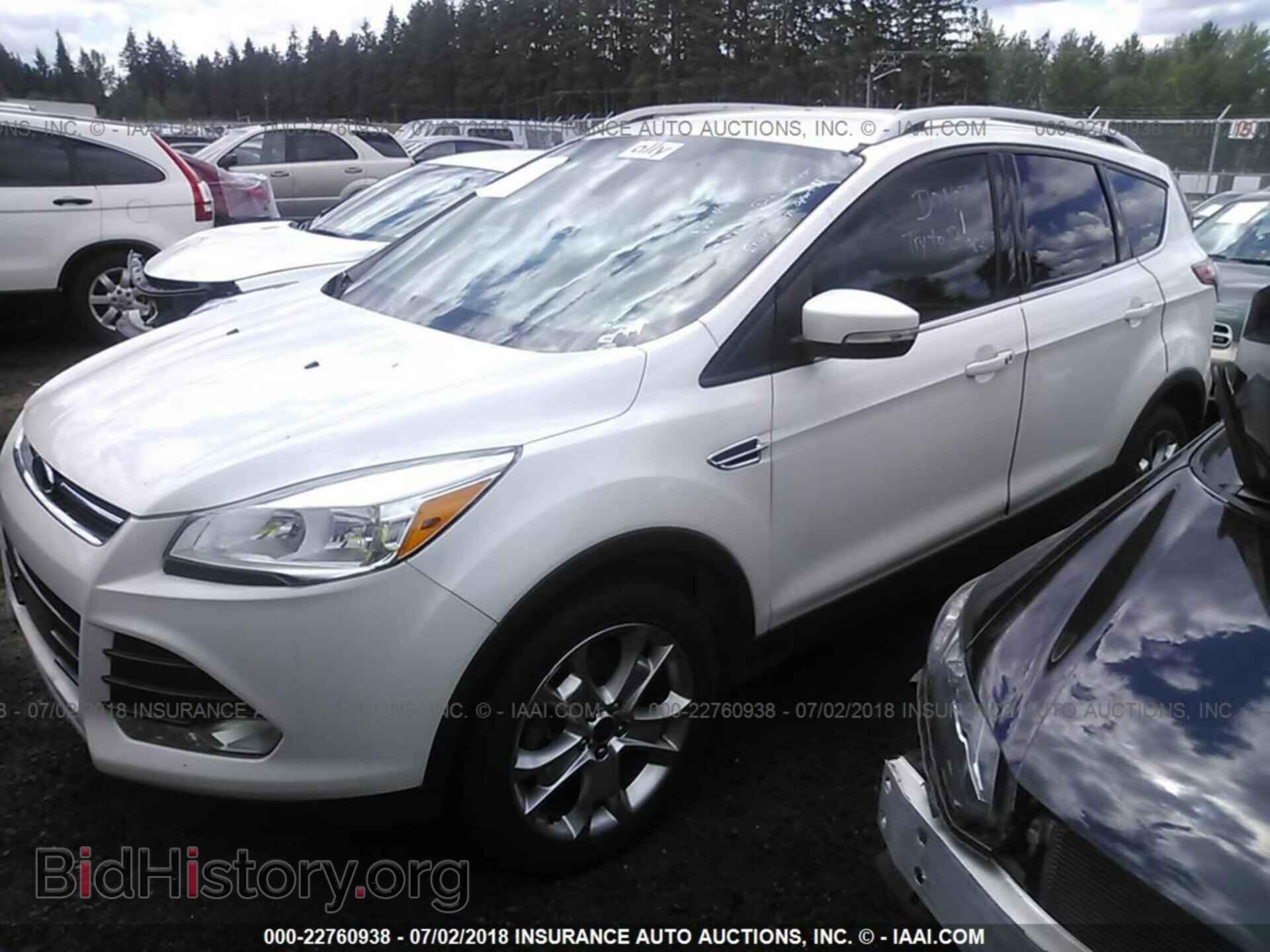 2014 Ford Escape - VIN: 1FMCU9J99EUB82117 - Фото 2