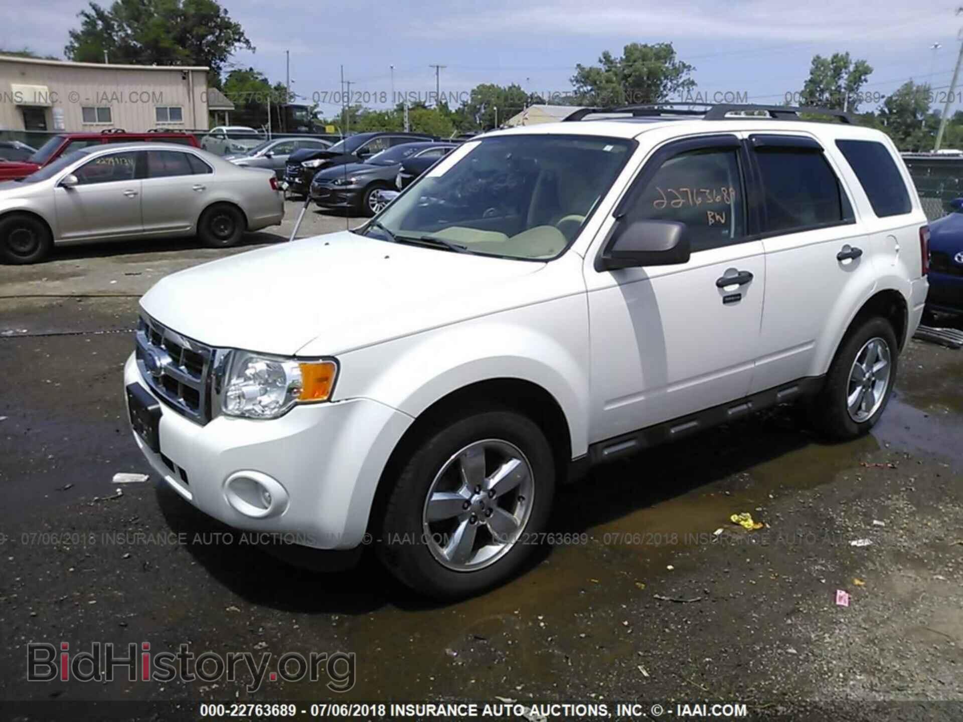 2011 Ford Escape - VIN: 1FMCU0DG7BKC28413 - Фото 2