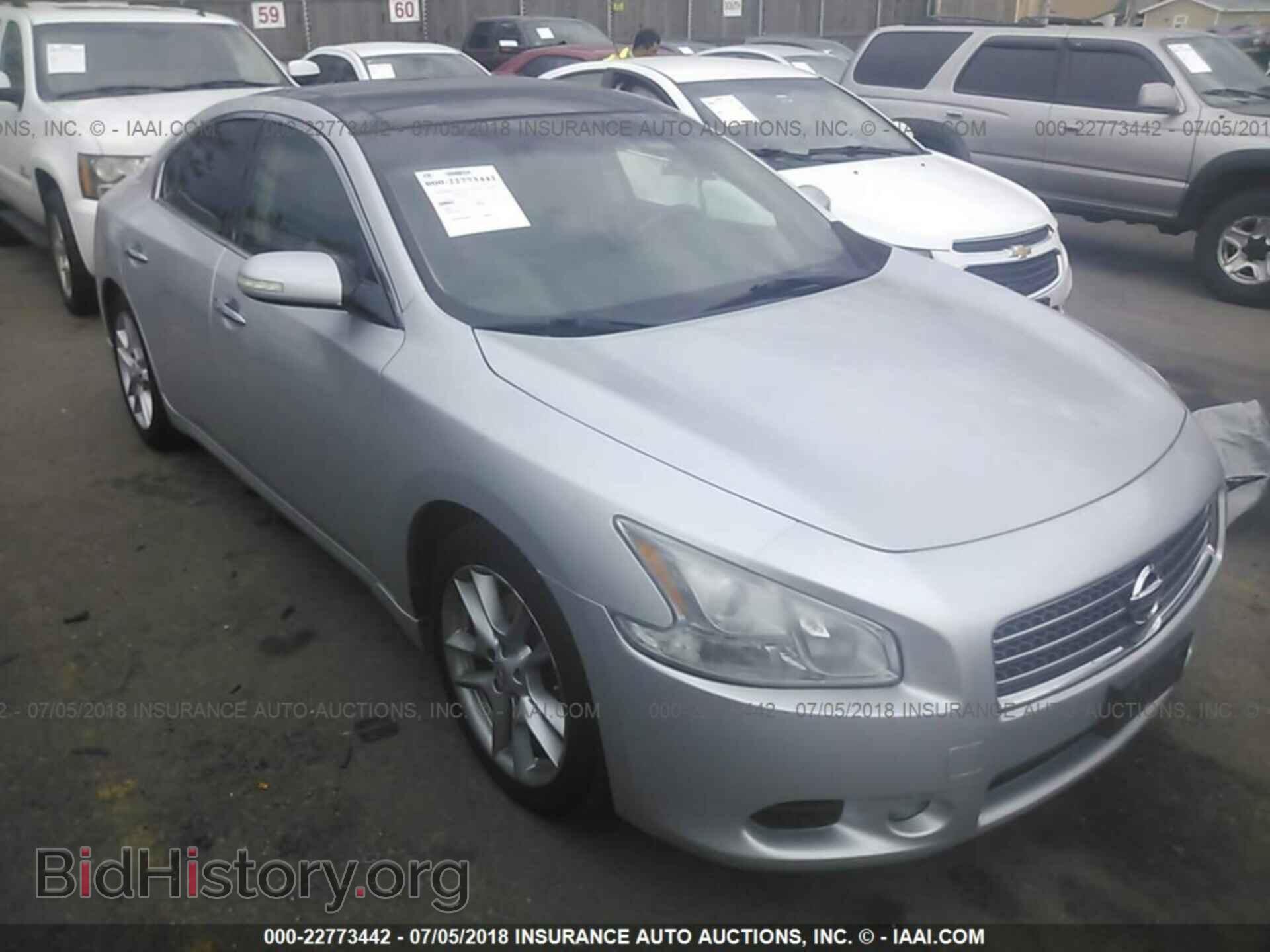 Фотография 1N4AA5APXBC807773 - Nissan Maxima 2011