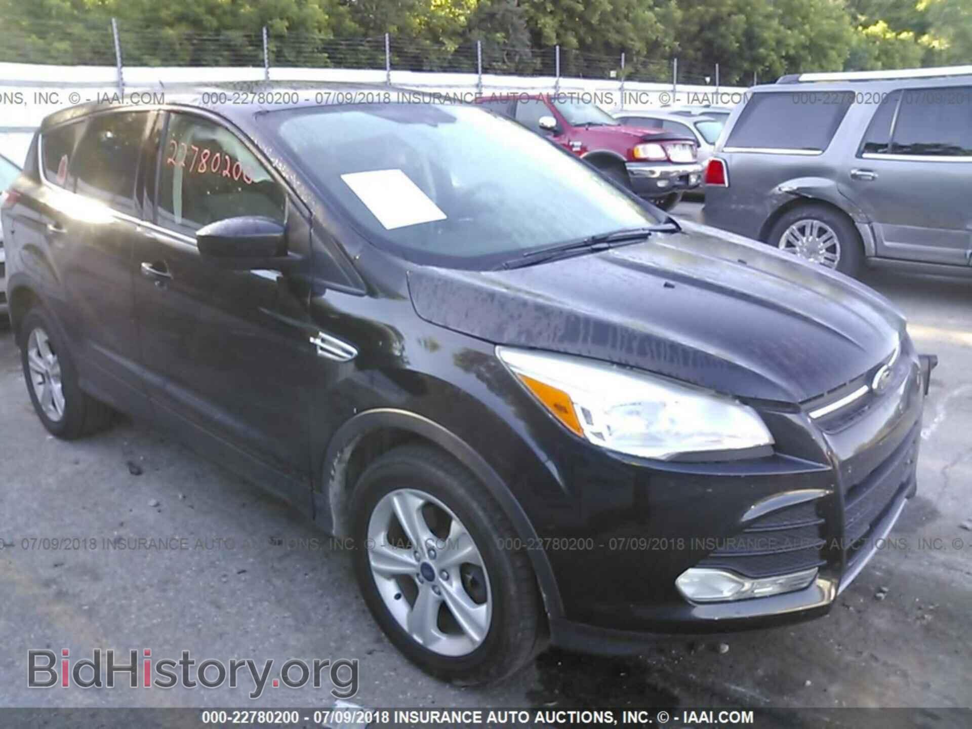 Photo 1FMCU9GX8DUB38940 - Ford Escape 2013