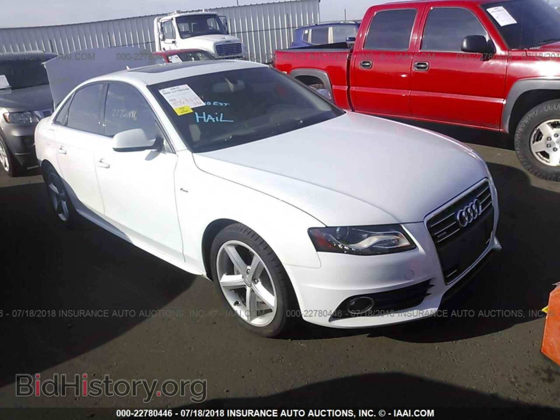 Photo WAUKFAFL8CN013419 - Audi A4 2012