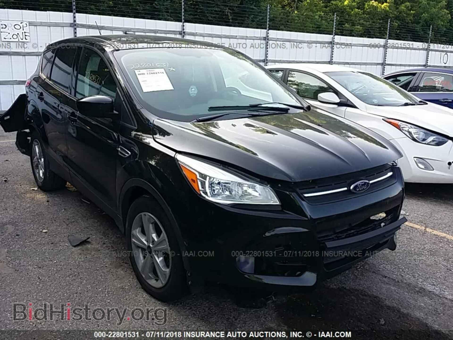 Фотография 1FMCU0GX7EUD45526 - Ford Escape 2014