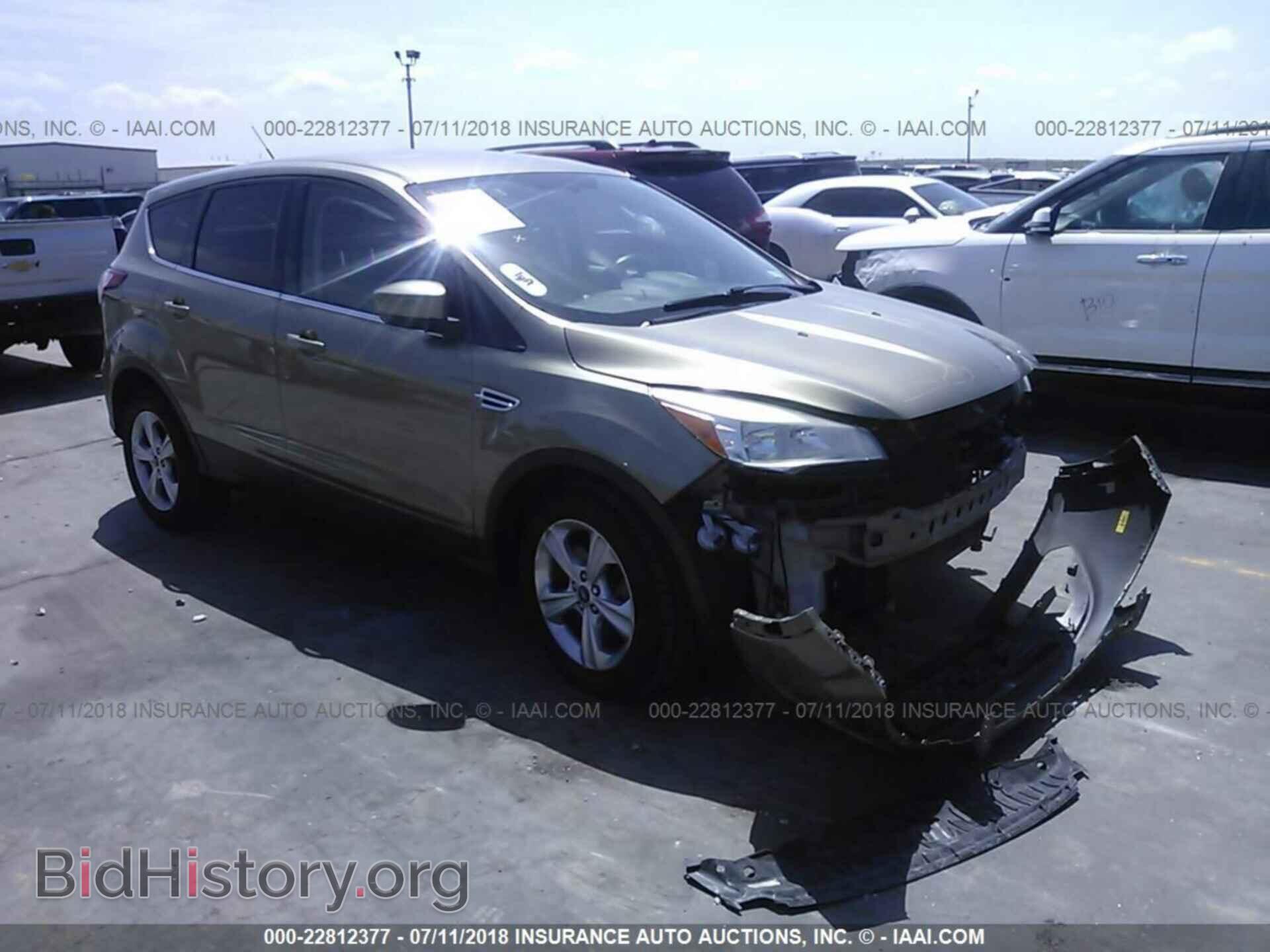 Photo 1FMCU0G9XDUC80252 - Ford Escape 2013