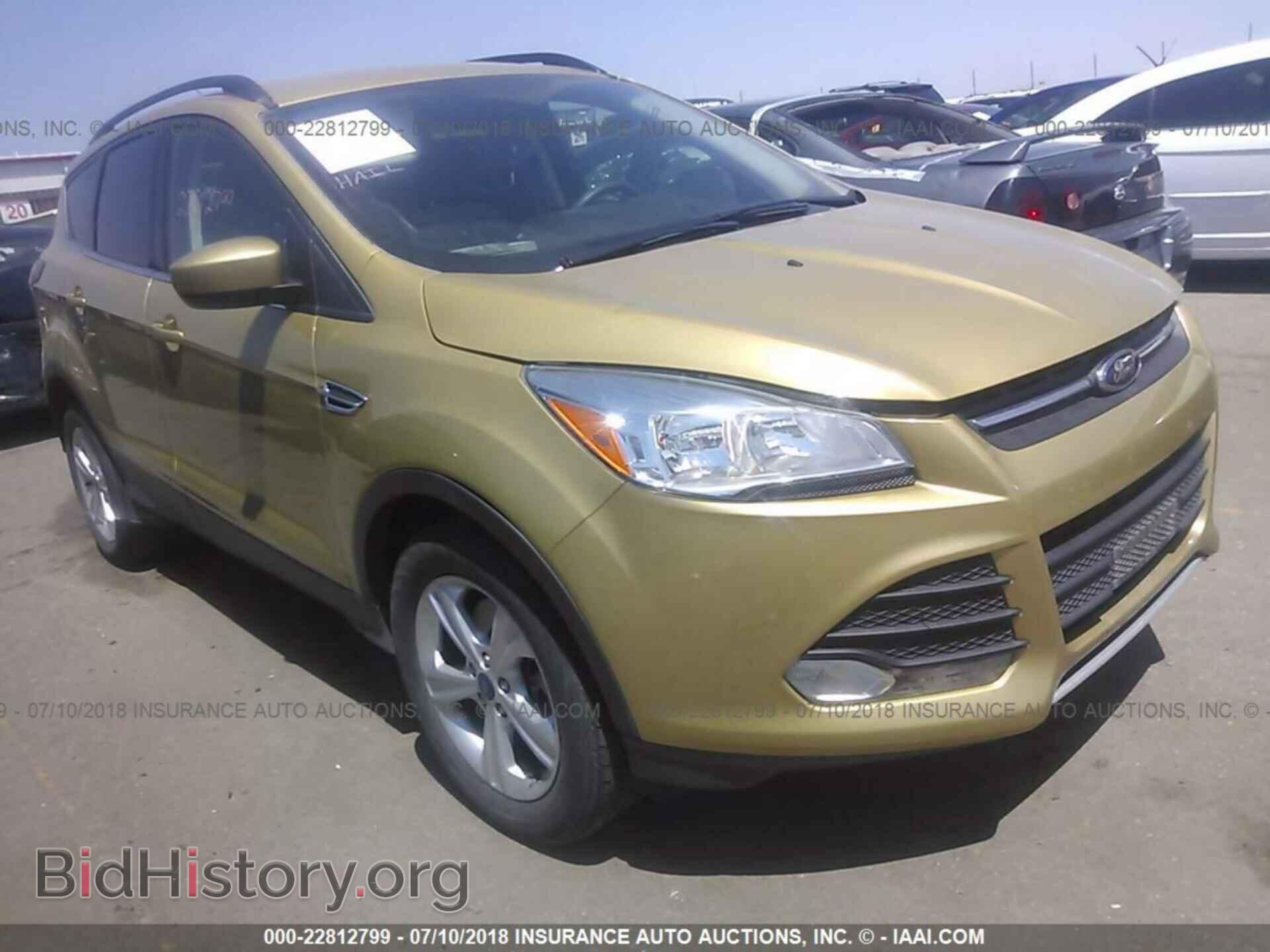 Photo 1FMCU9GX8EUD52604 - Ford Escape 2014