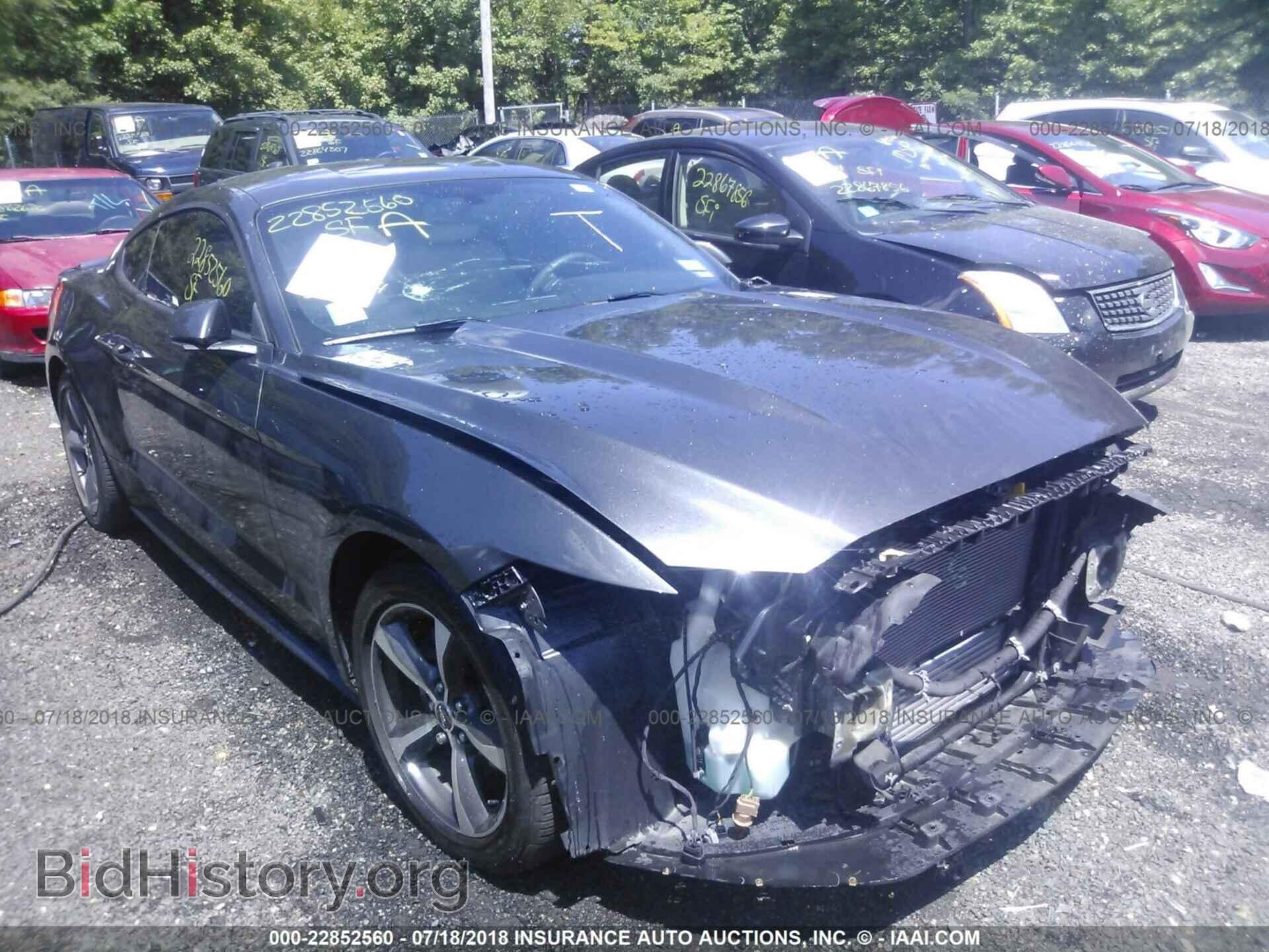 Photo 1FA6P8TH9F5317363 - Ford Mustang 2015