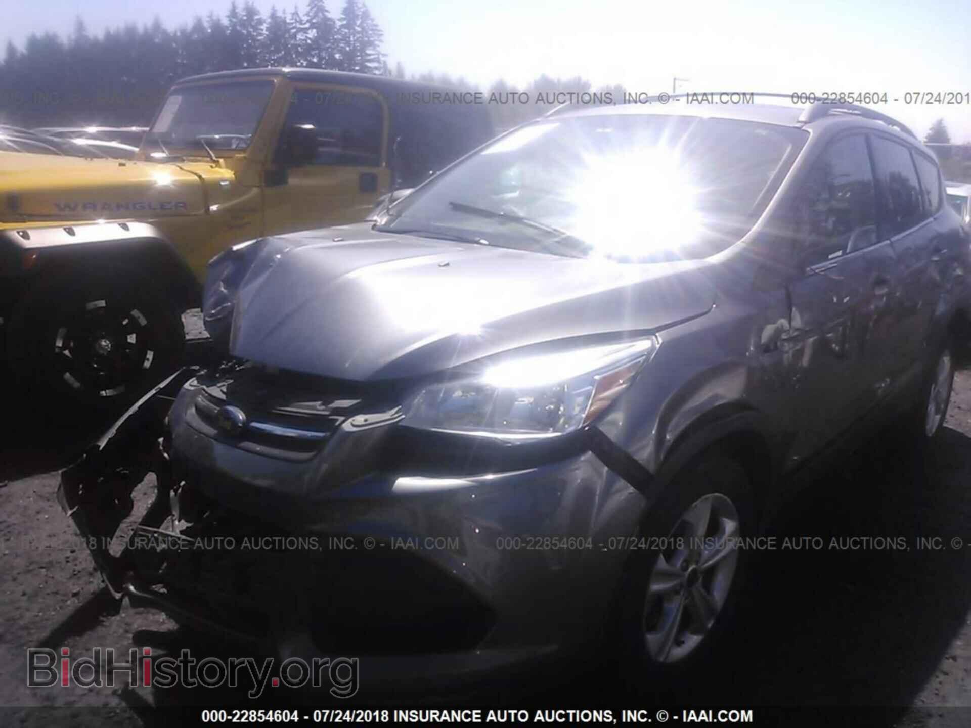 2013 Ford Escape - VIN: 1FMCU9G97DUB01184 - Photo 2