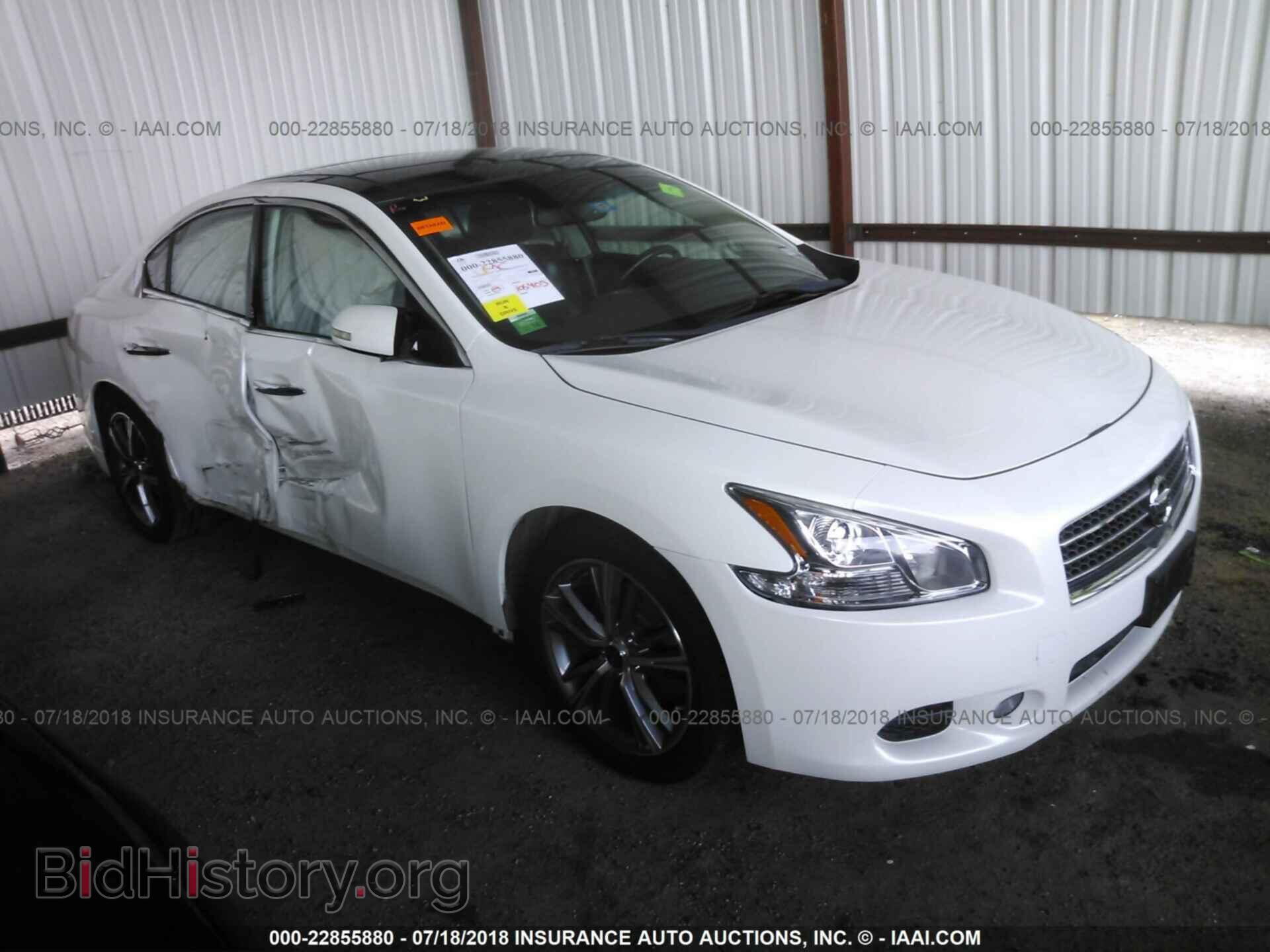Фотография 1N4AA5AP1BC855582 - Nissan Maxima 2011