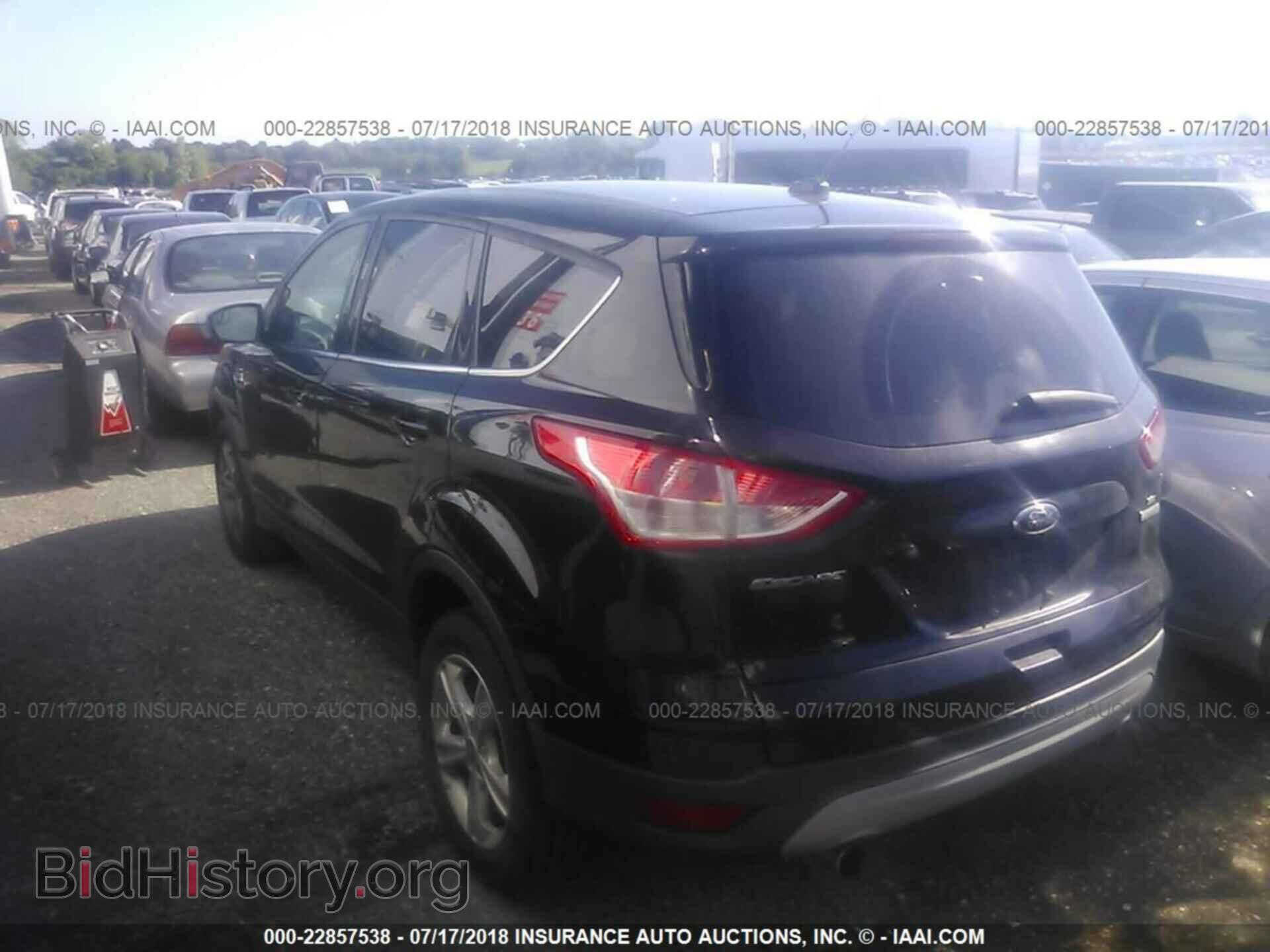 2013 Ford Escape - VIN: 1FMCU0G90DUA94817 - Фото 3