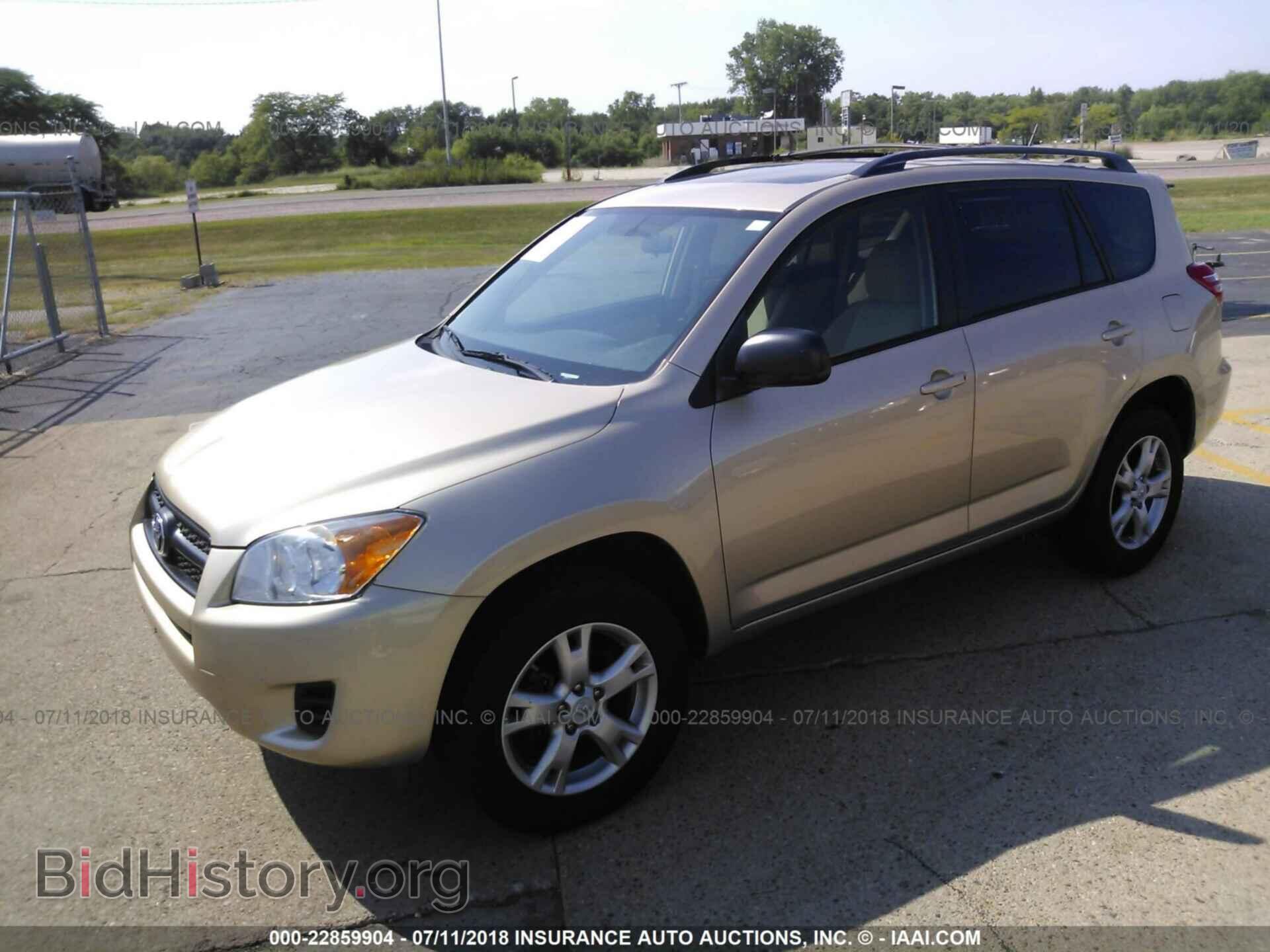 2011 Toyota Rav4 - VIN: 2T3BF4DV8BW103105 - Фото 2