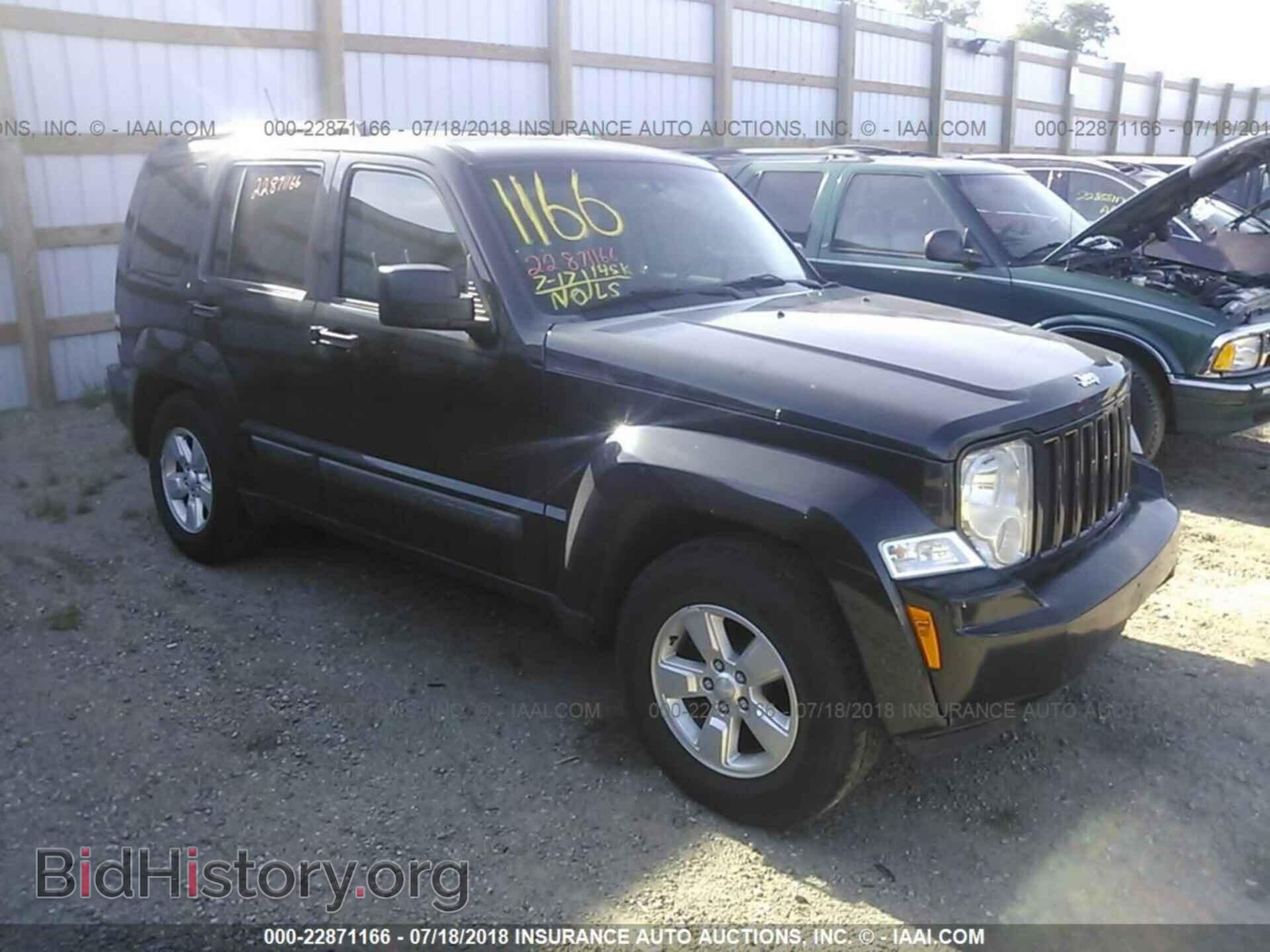 Фотография 1J4PN2GK3BW573388 - Jeep Liberty 2011