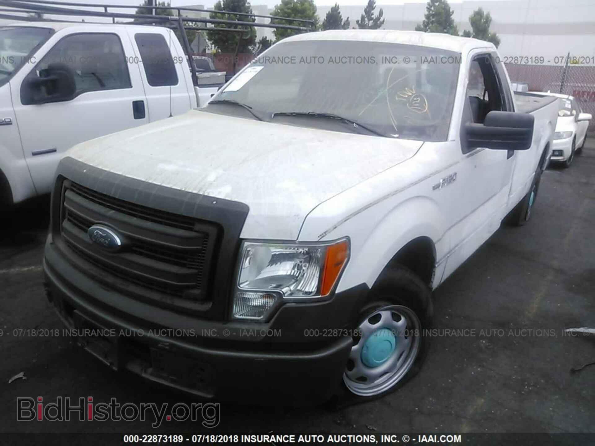 2013 Ford F150 - VIN: 1FTMF1CM4DKE71695 - Фото 2