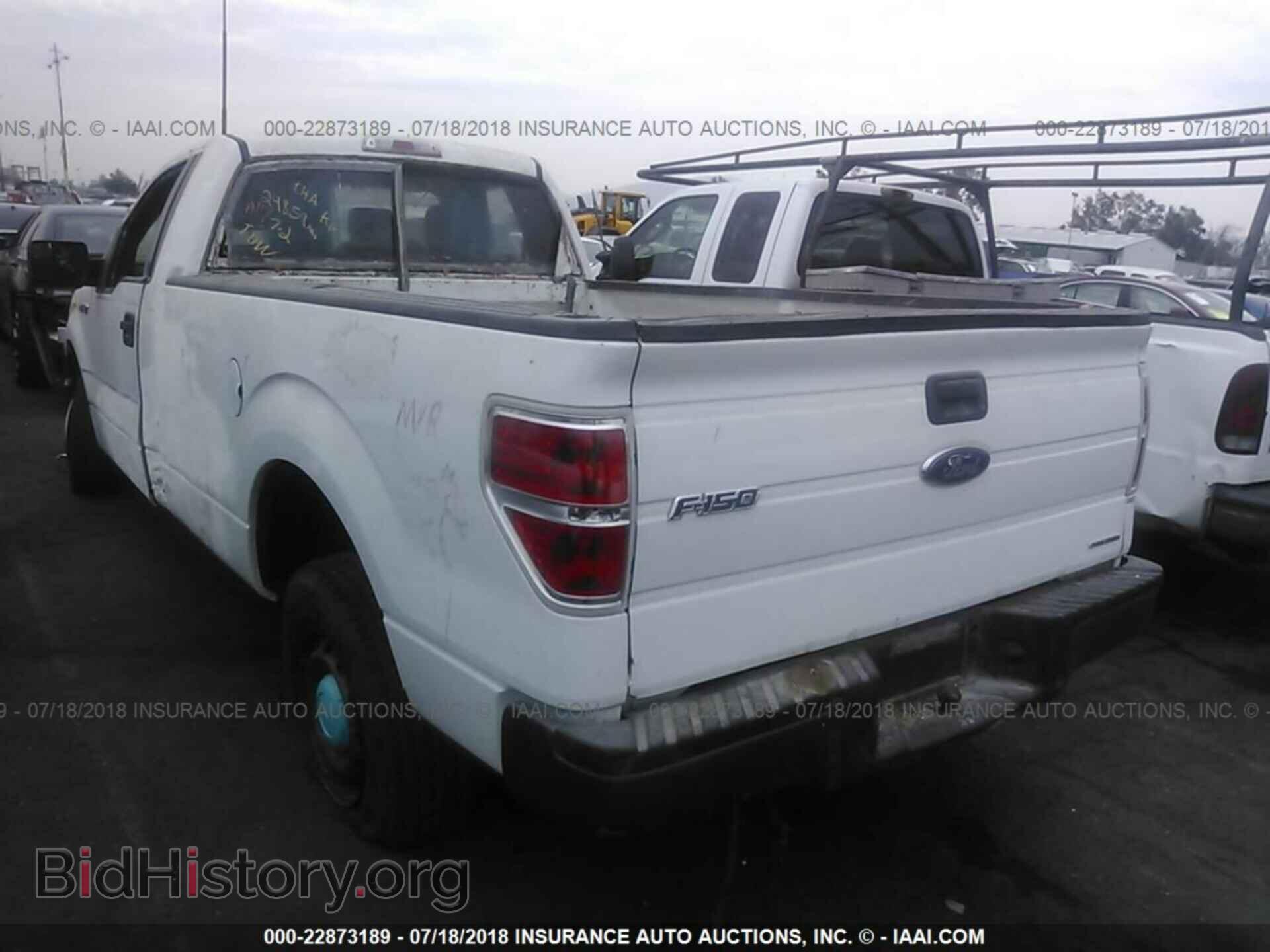 2013 Ford F150 - VIN: 1FTMF1CM4DKE71695 - Фото 3