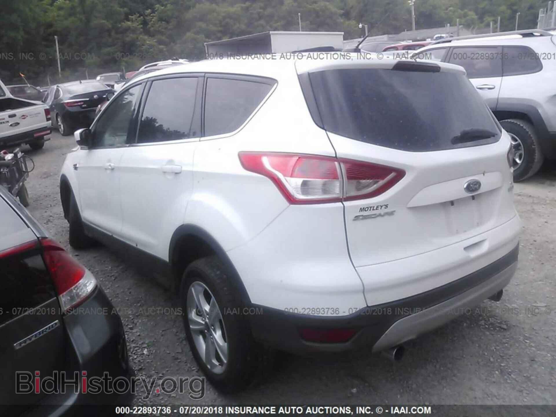 2013 Ford Escape - VIN: 1FMCU0GX9DUA80512 - Photo 3