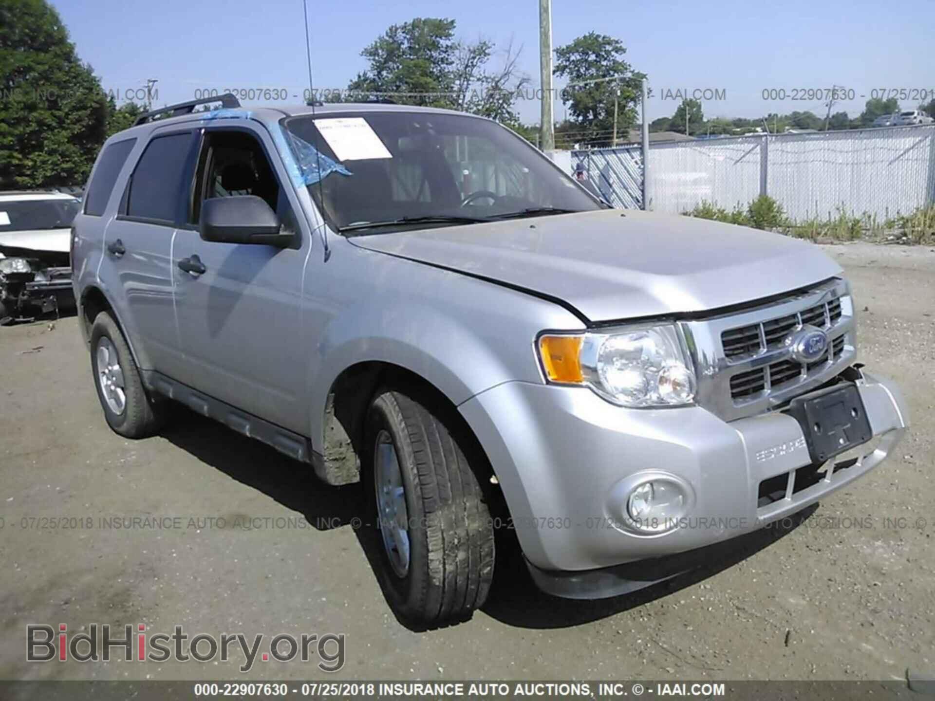 Фотография 1FMCU0DG1BKC03684 - Ford Escape 2011