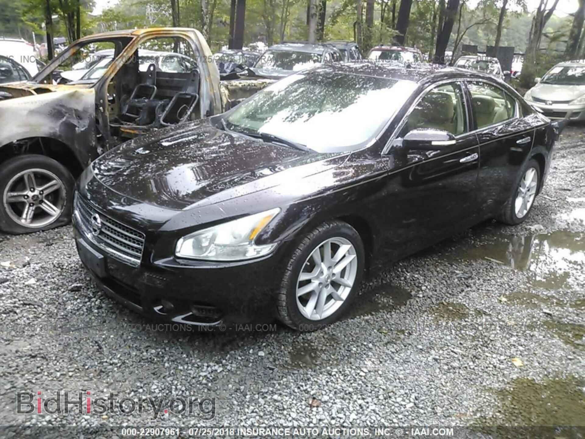 2010 NISSAN MAXIMA - VIN: 1N4AA5AP6AC856502 - Фото 2