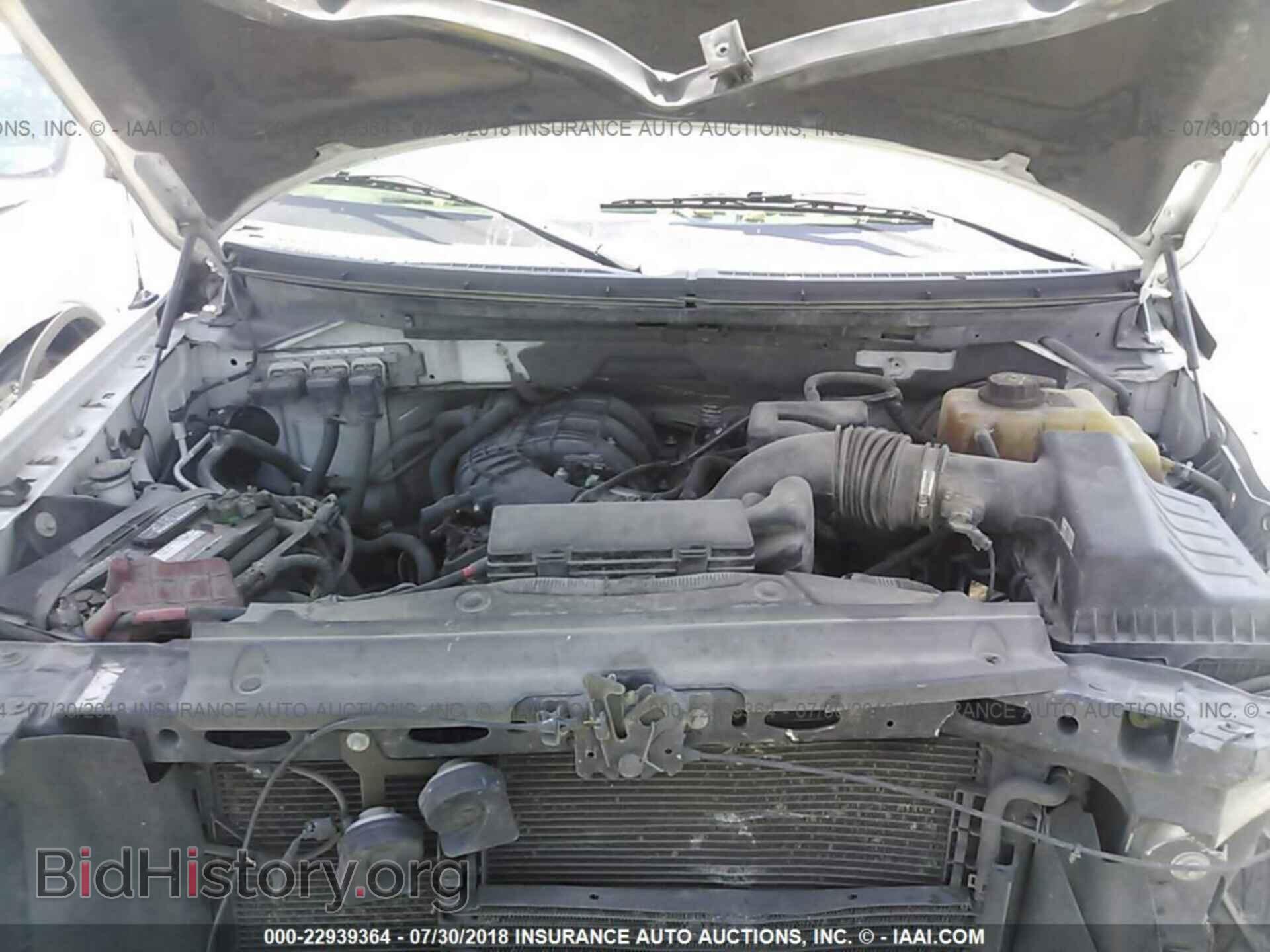 2013 Ford F150 - VIN: 1FTMF1CM3DKE03176 - Фото 10