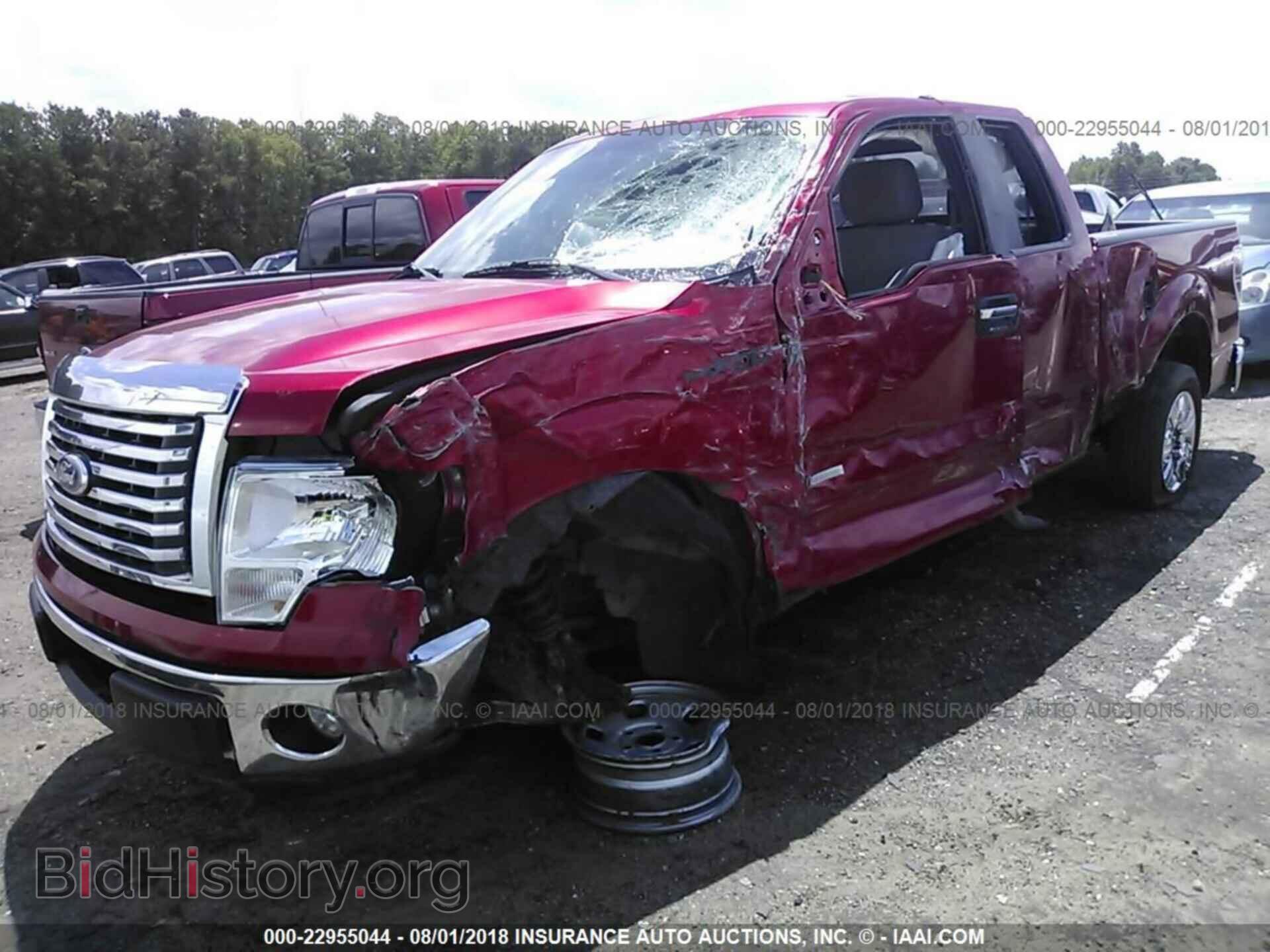 2012 Ford F150 - VIN: 1FTFX1CT5CFA01809 - Фото 2