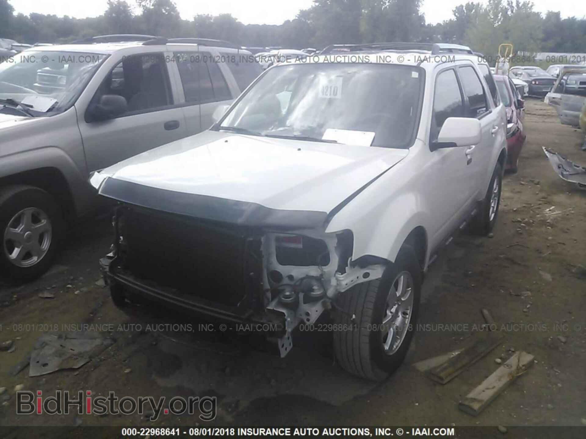 2012 Ford Escape - VIN: 1FMCU9EG3CKC44662 - Фото 2