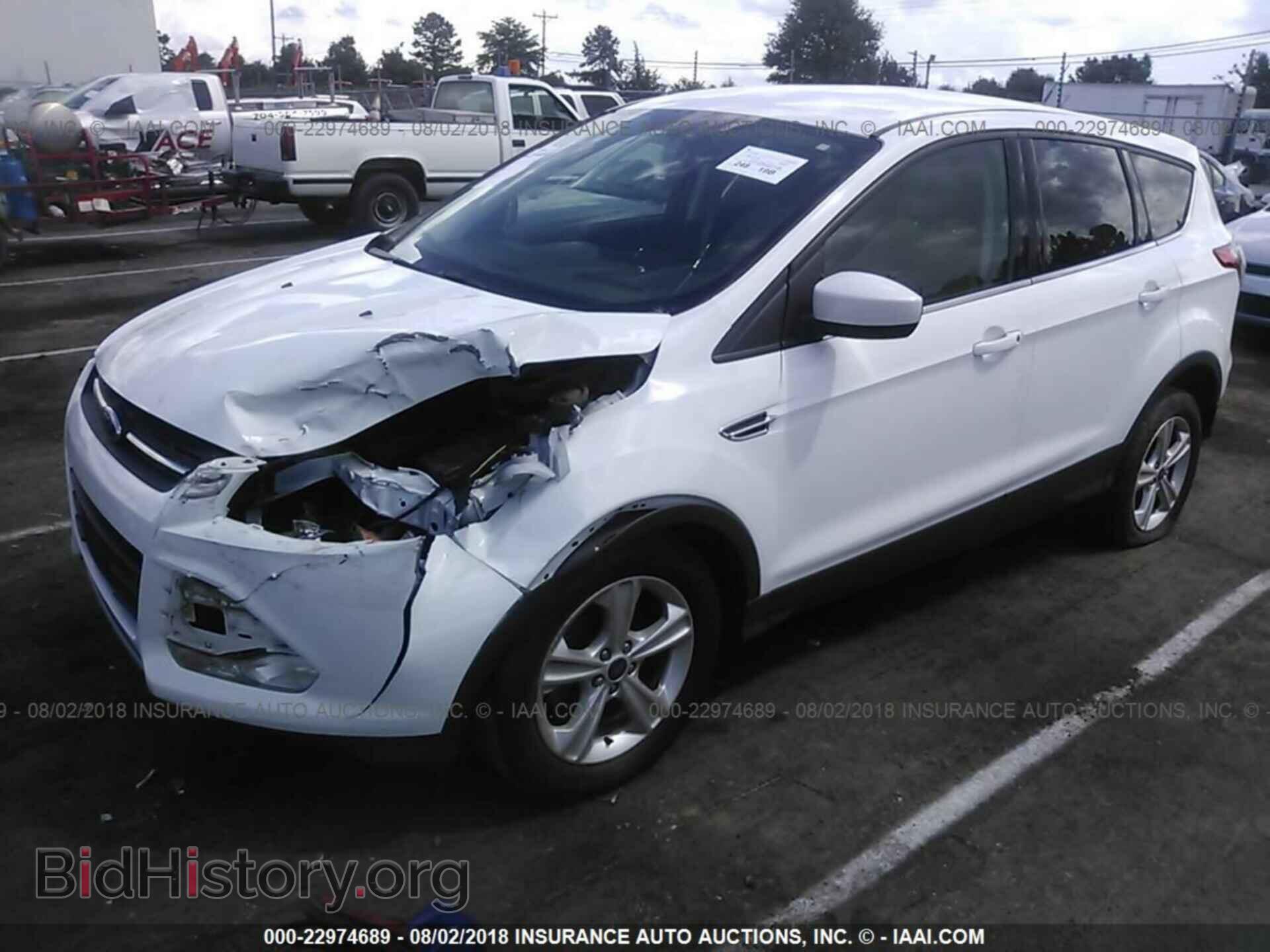 2013 Ford Escape - VIN: 1FMCU0GX0DUB38507 - Фото 2