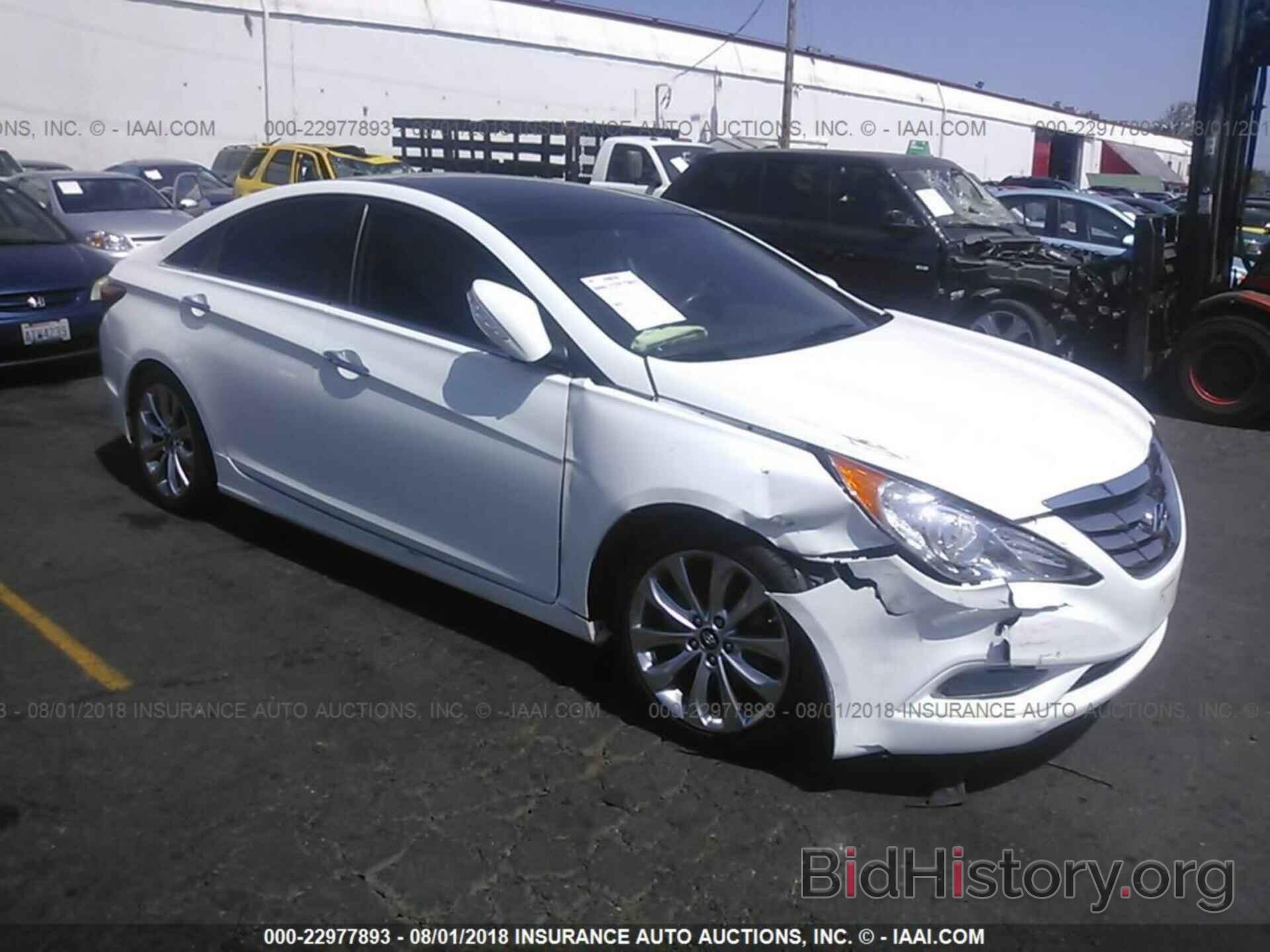 Photo 5NPEC4AB3CH501590 - Hyundai Sonata 2012