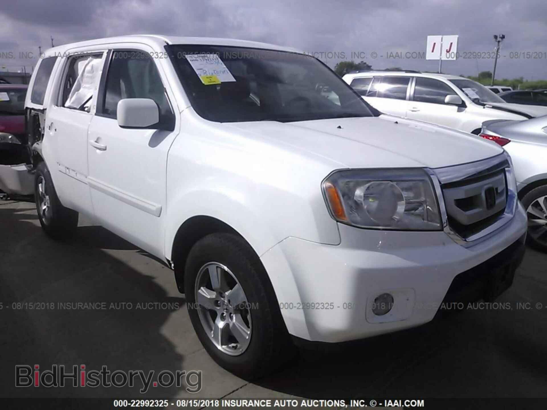 Фотография 5FNYF3H68BB007228 - Honda Pilot 2011