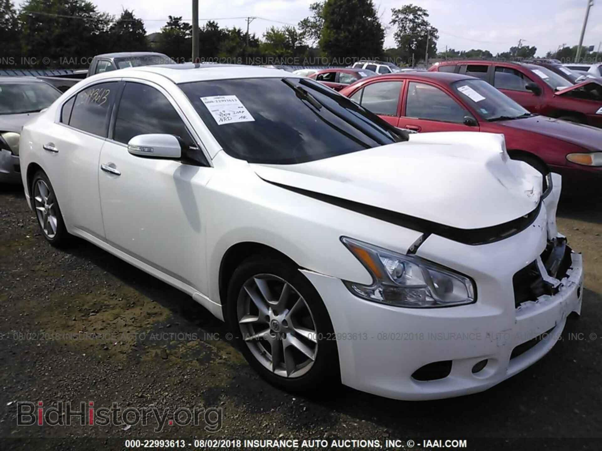 Фотография 1N4AA5AP2BC862945 - Nissan Maxima 2011