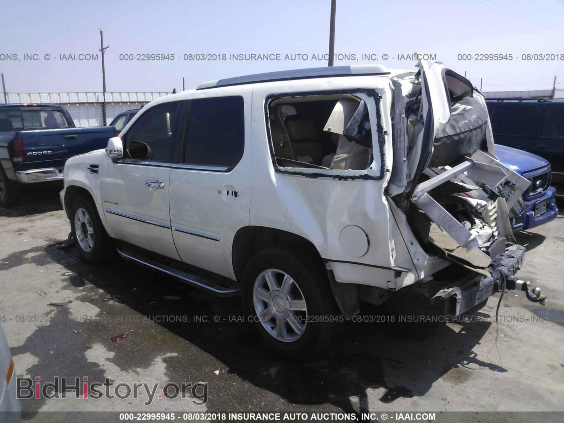 2010 CADILLAC ESCALADE - VIN: 1GYUCAEF0AR215641 - Фото 3