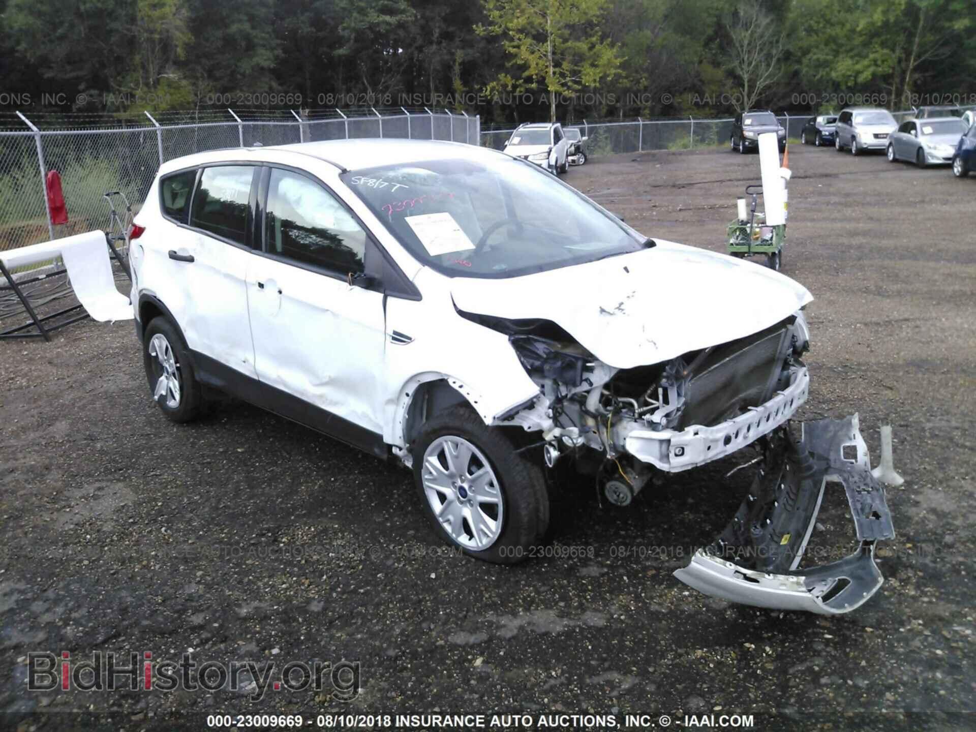 Фотография 1FMCU0F73DUD48942 - Ford Escape 2013