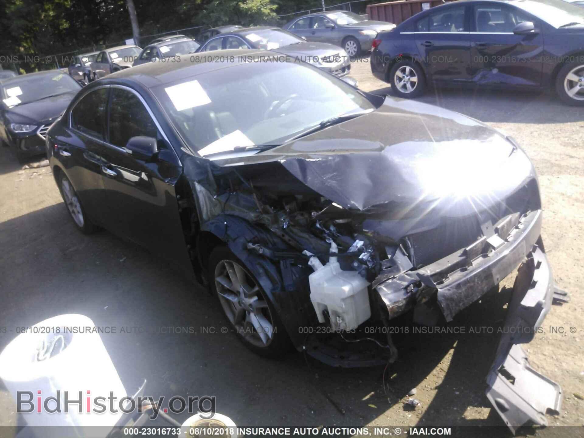 Фотография 1N4AA5AP5BC823346 - Nissan Maxima 2011